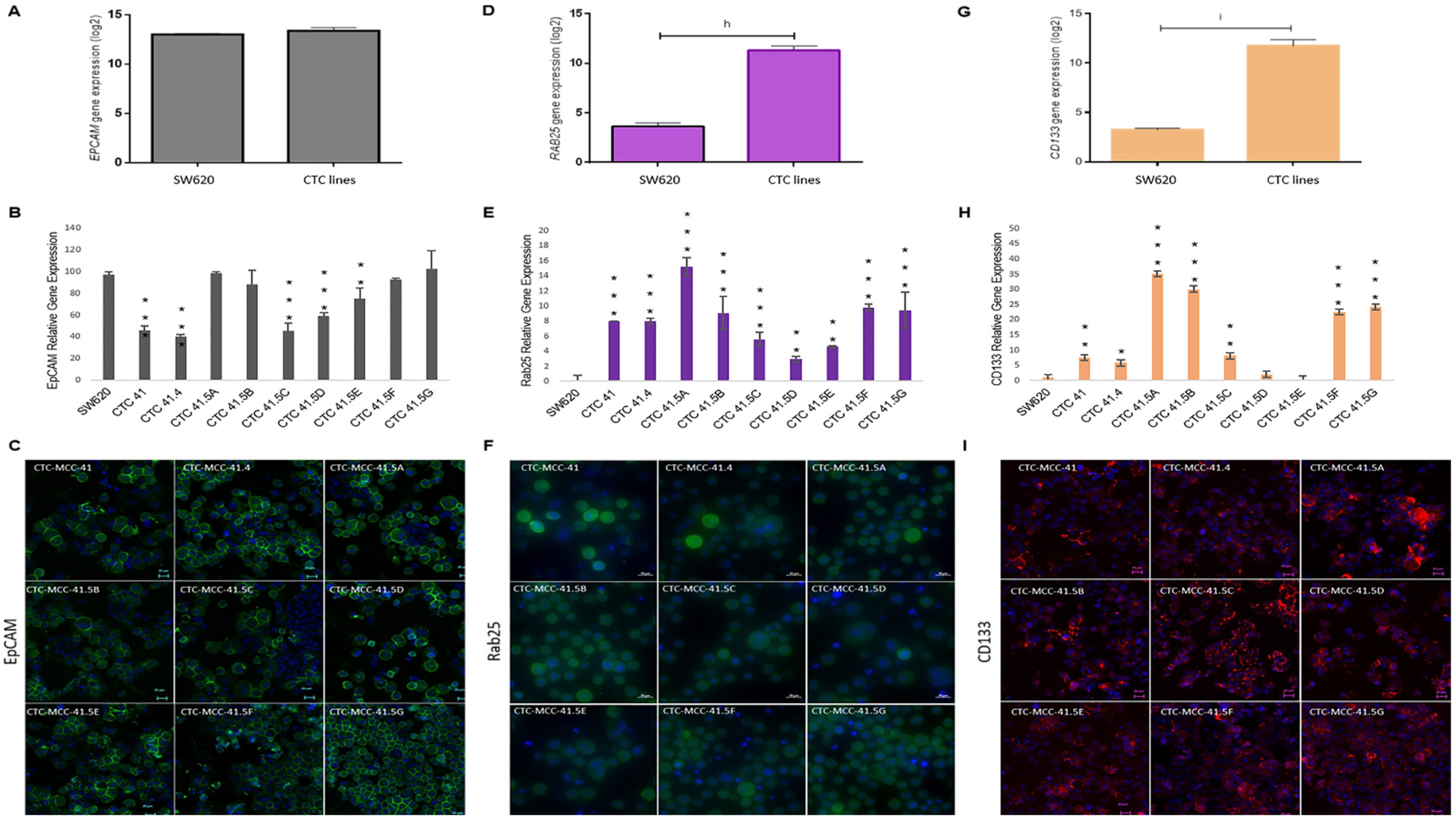 Cancers 13 05408 g004