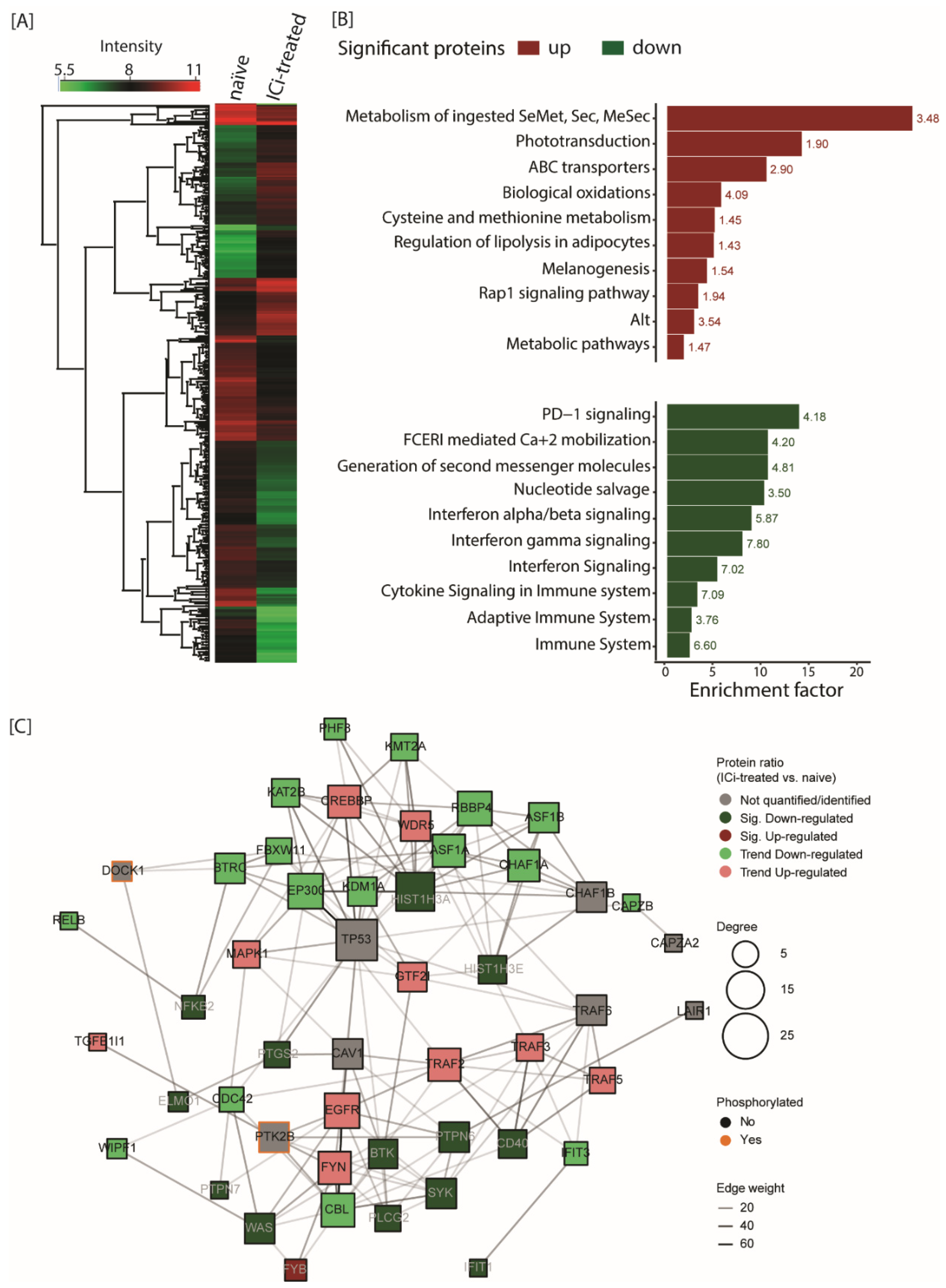 Cancers 13 05411 g004