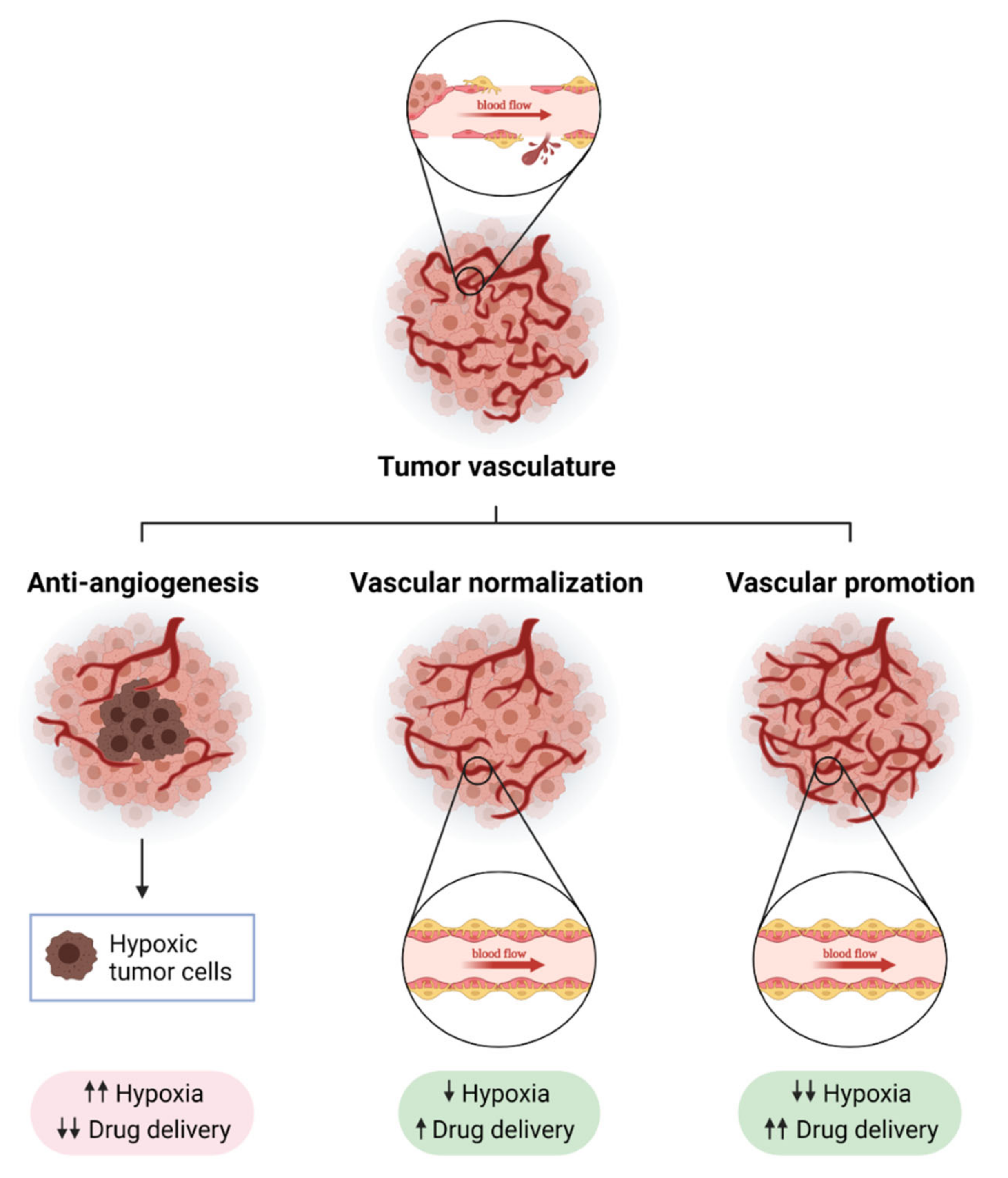 Cancers 13 05412 g001