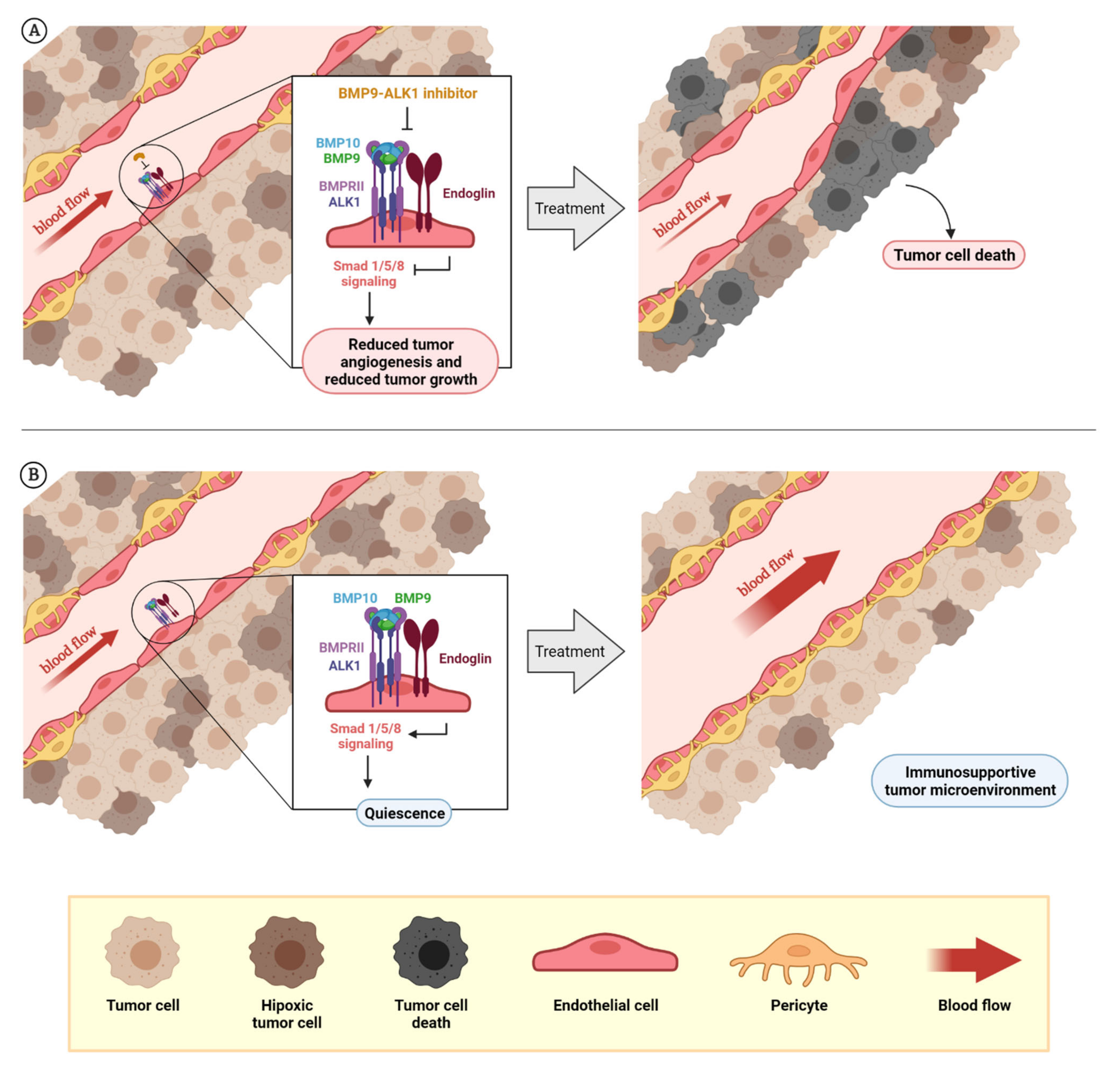 Cancers 13 05412 g003