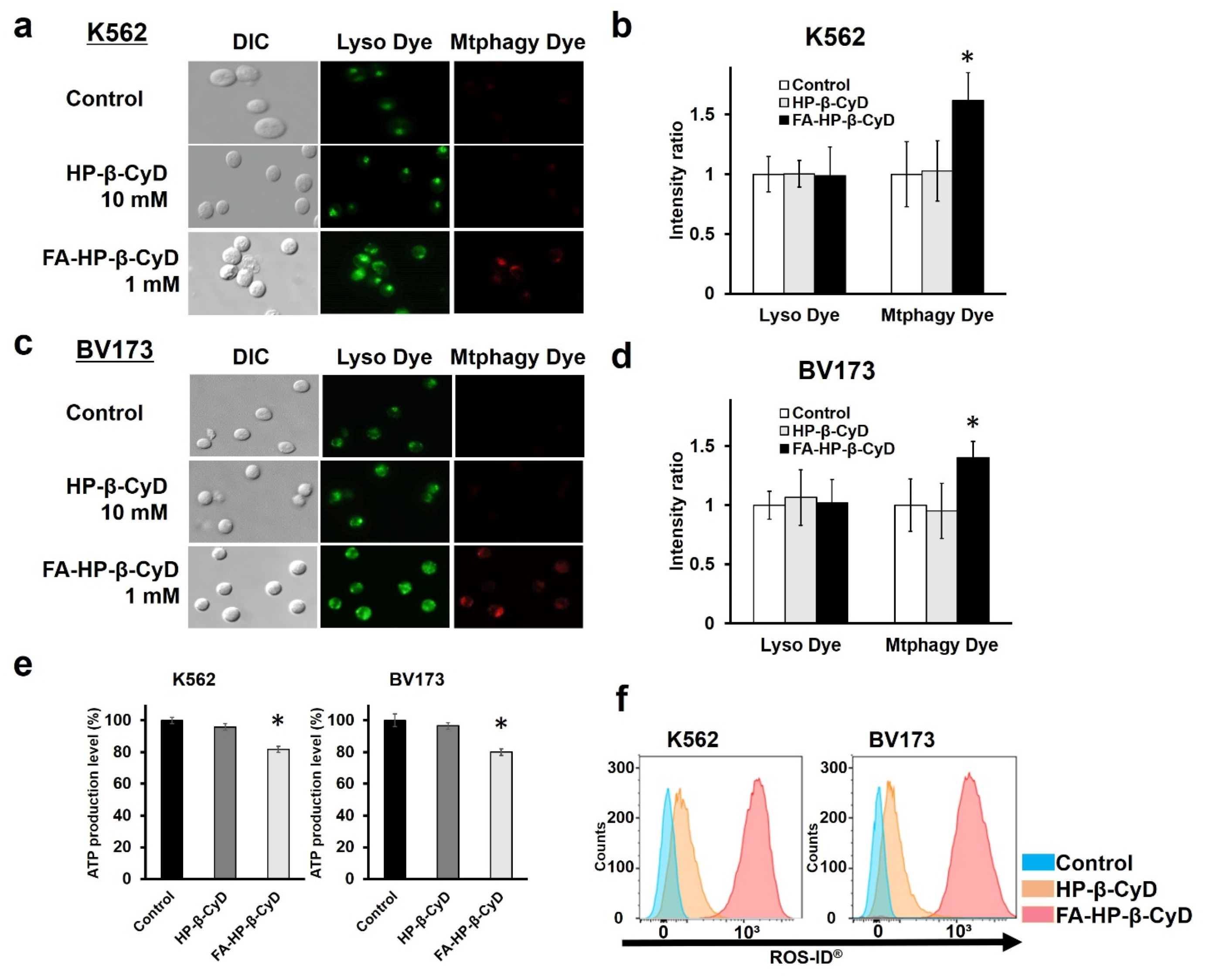 Cancers 13 05413 g007
