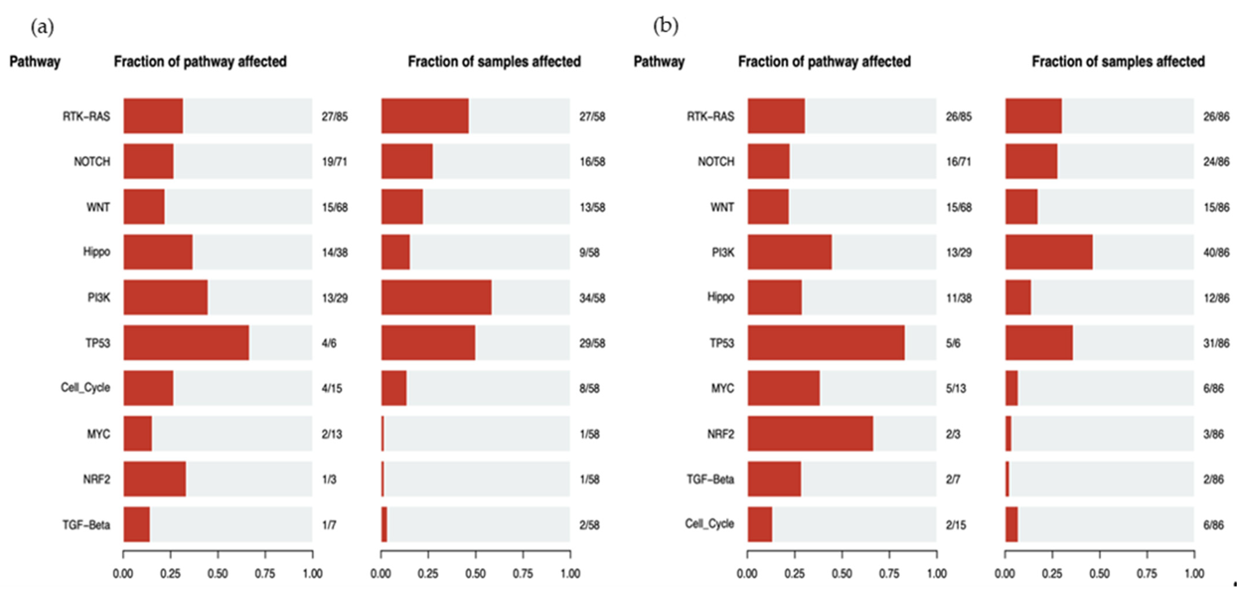 Cancers 13 05416 g009