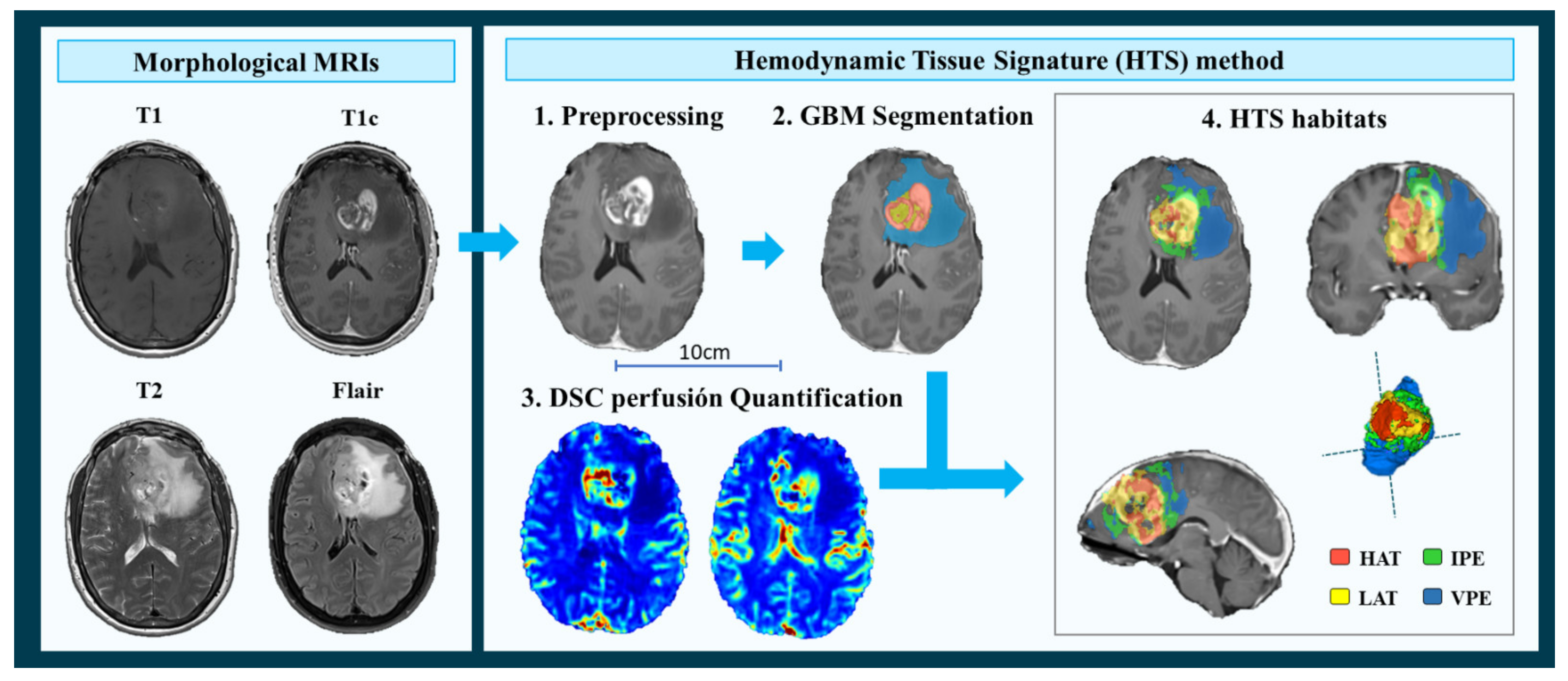 Cancers 13 05420 g001