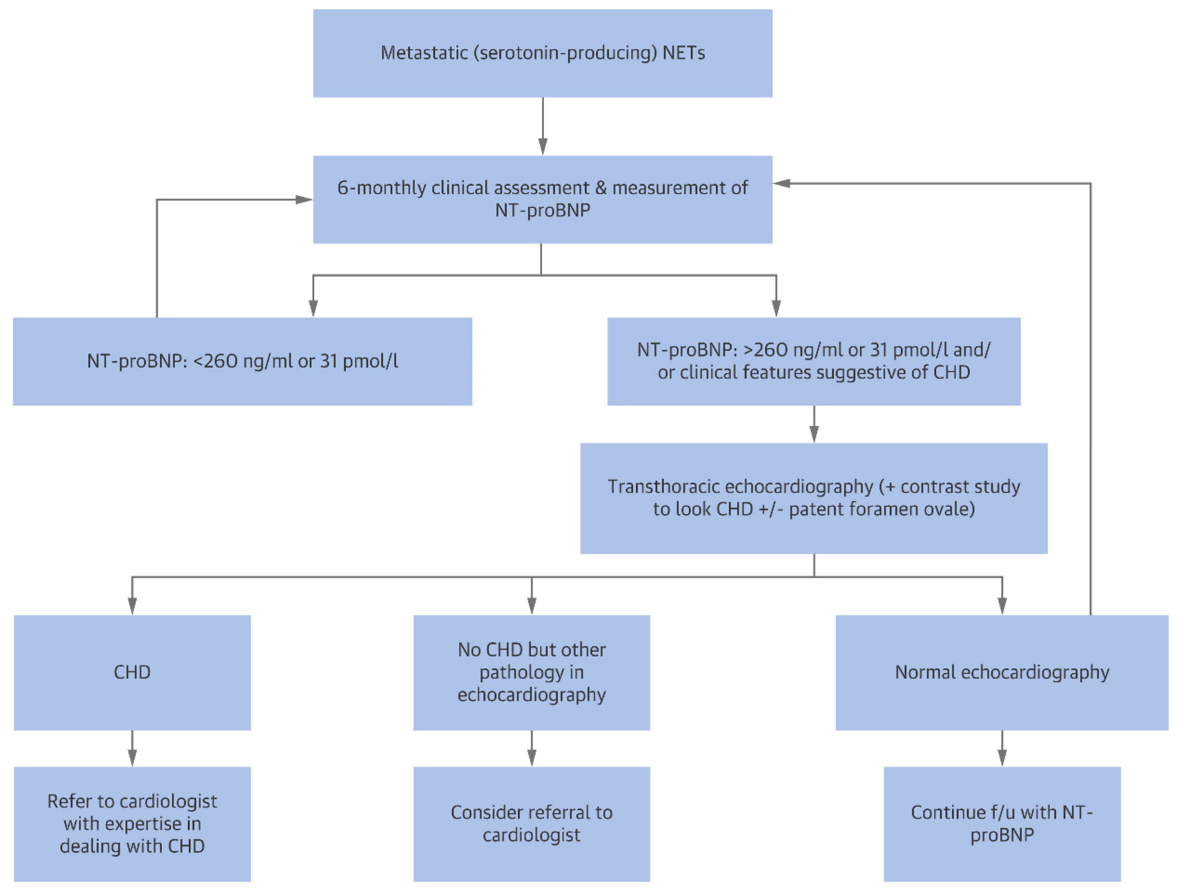 Cancers 13 05426 g013