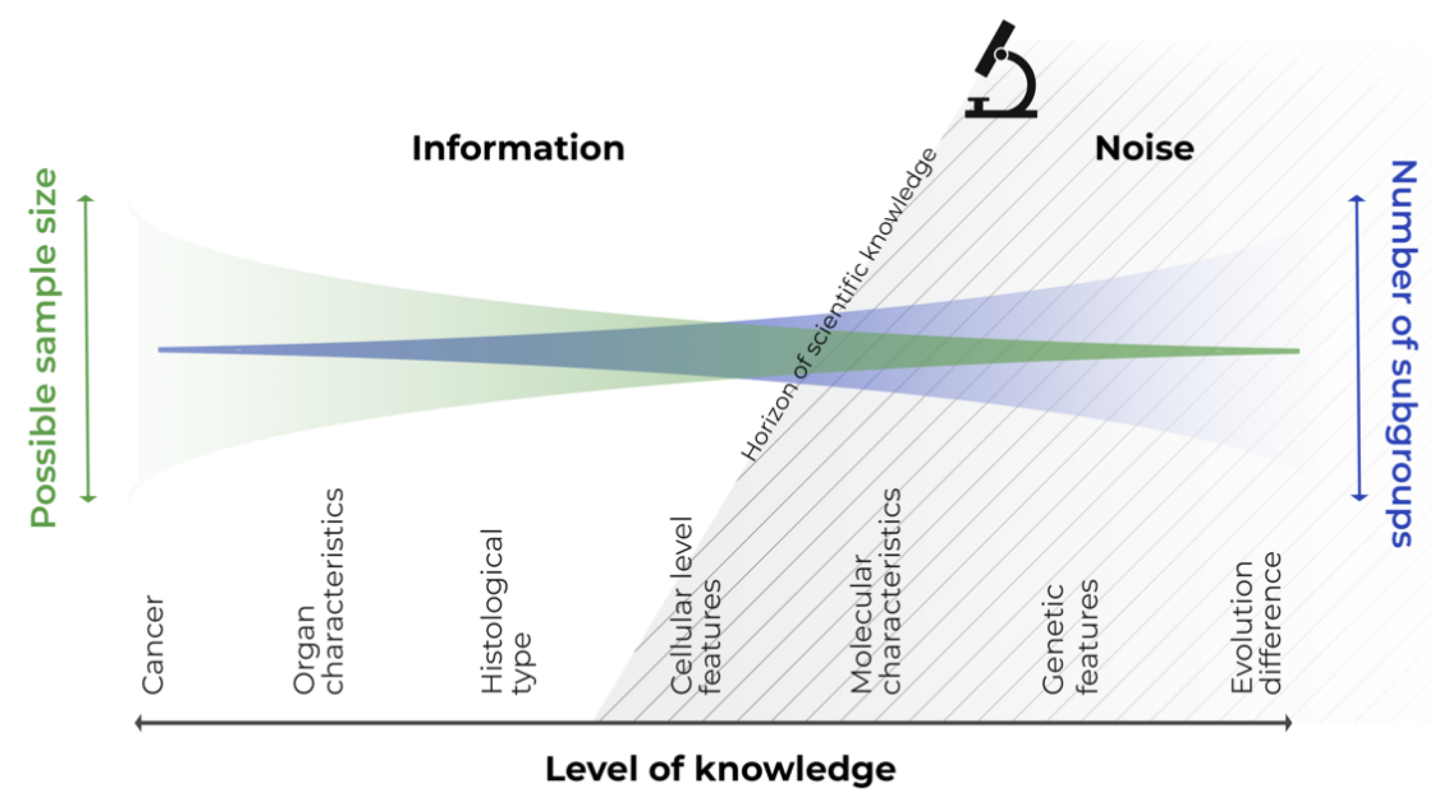 Cancers 13 05428 g001