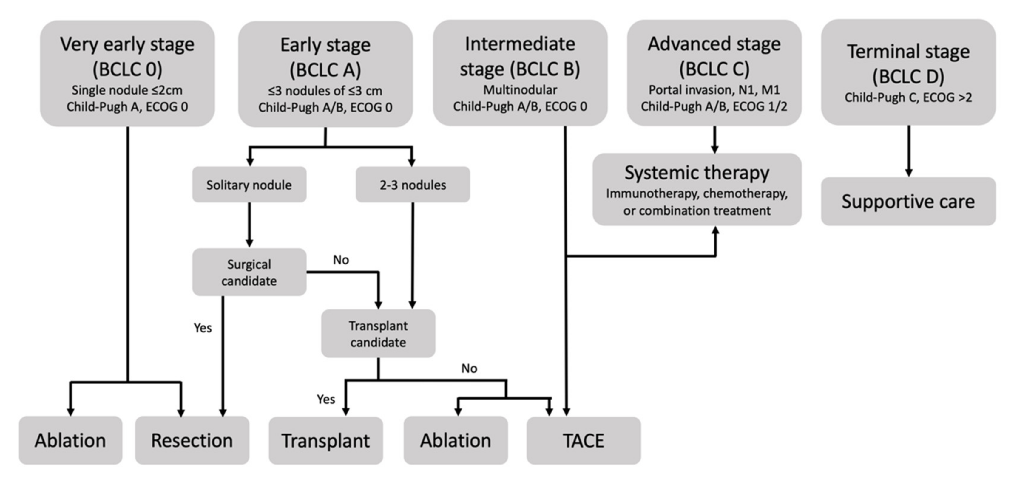 Cancers 13 05430 g001