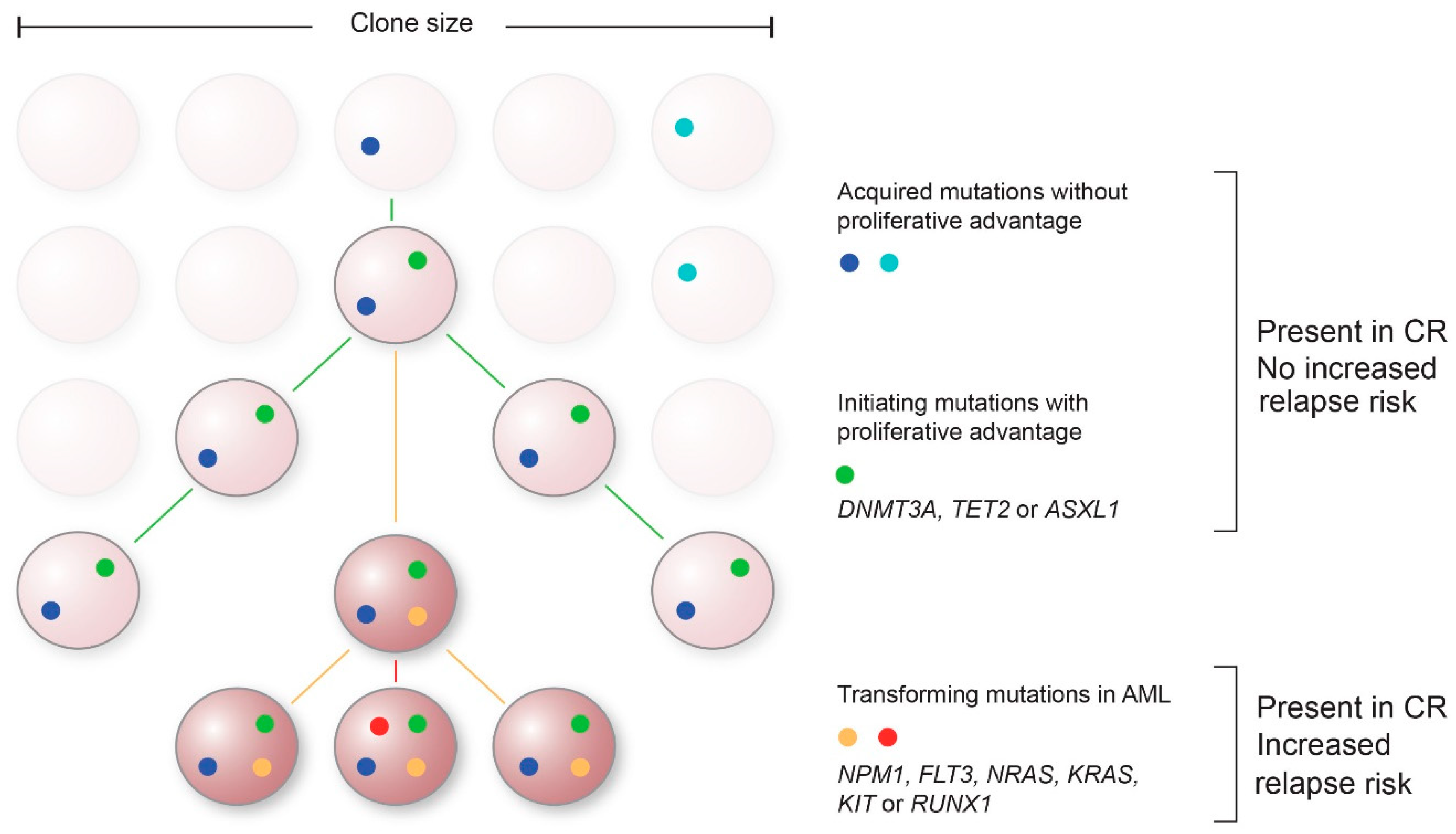 Cancers 13 05431 g001