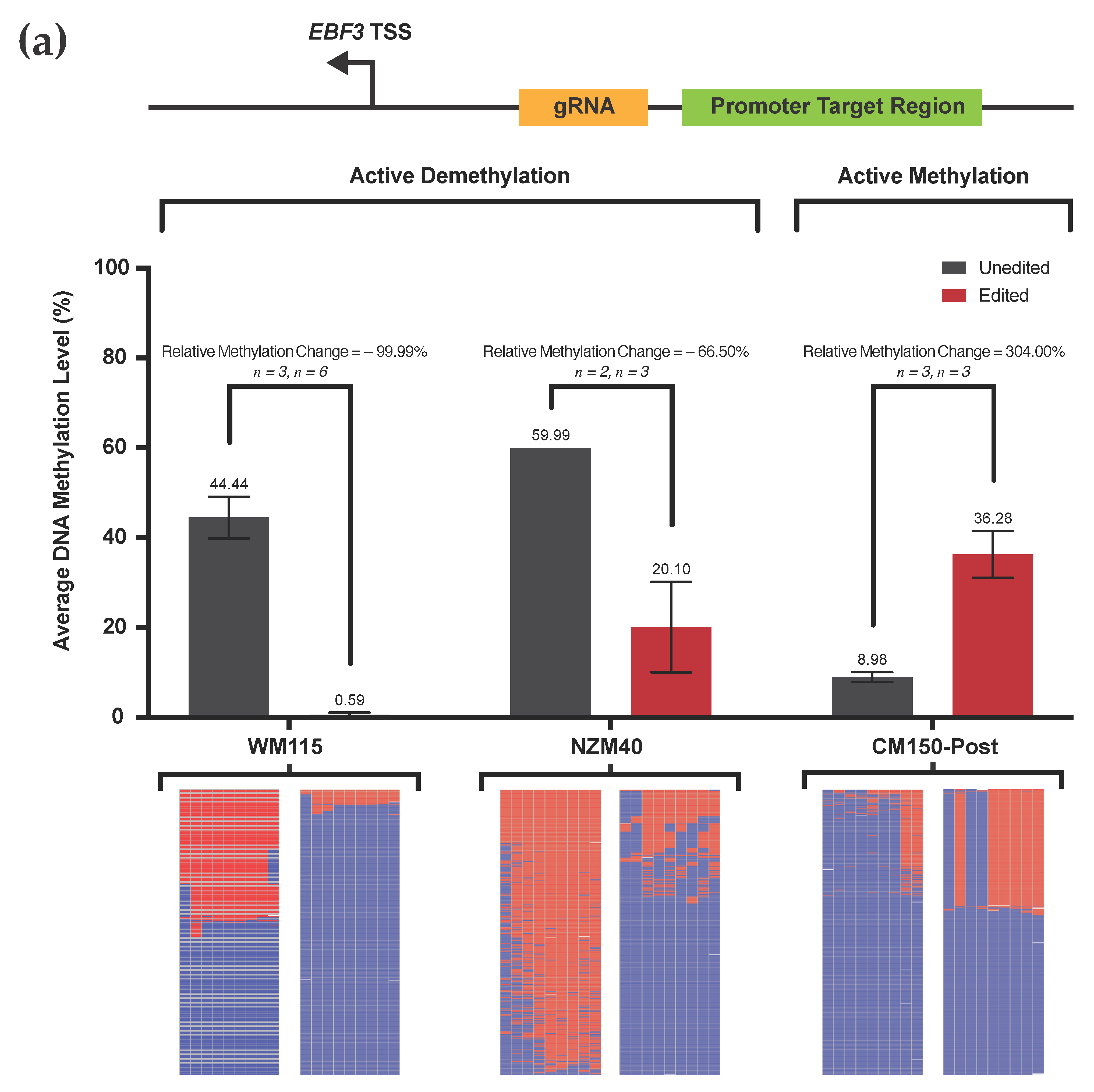 Cancers 13 05433 g003a