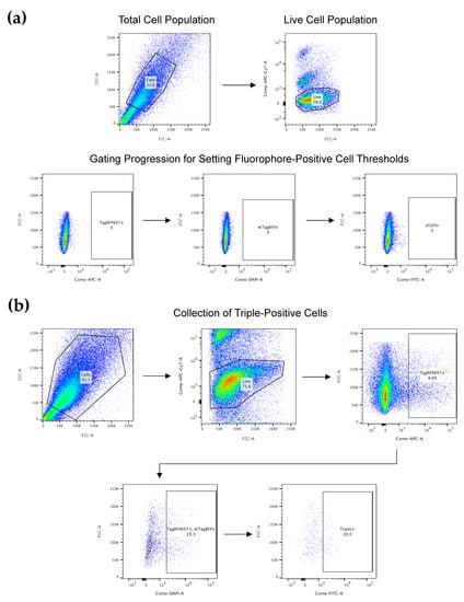Cancers 13 05433 g0a1 550