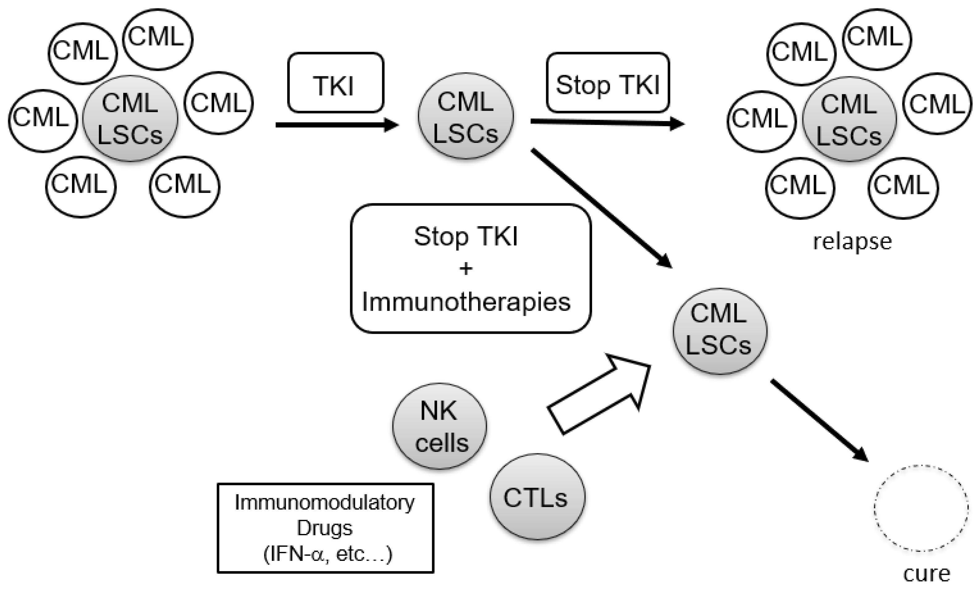 Cancers 13 05435 g001