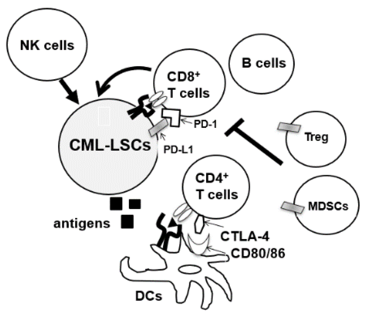 Cancers 13 05435 g002