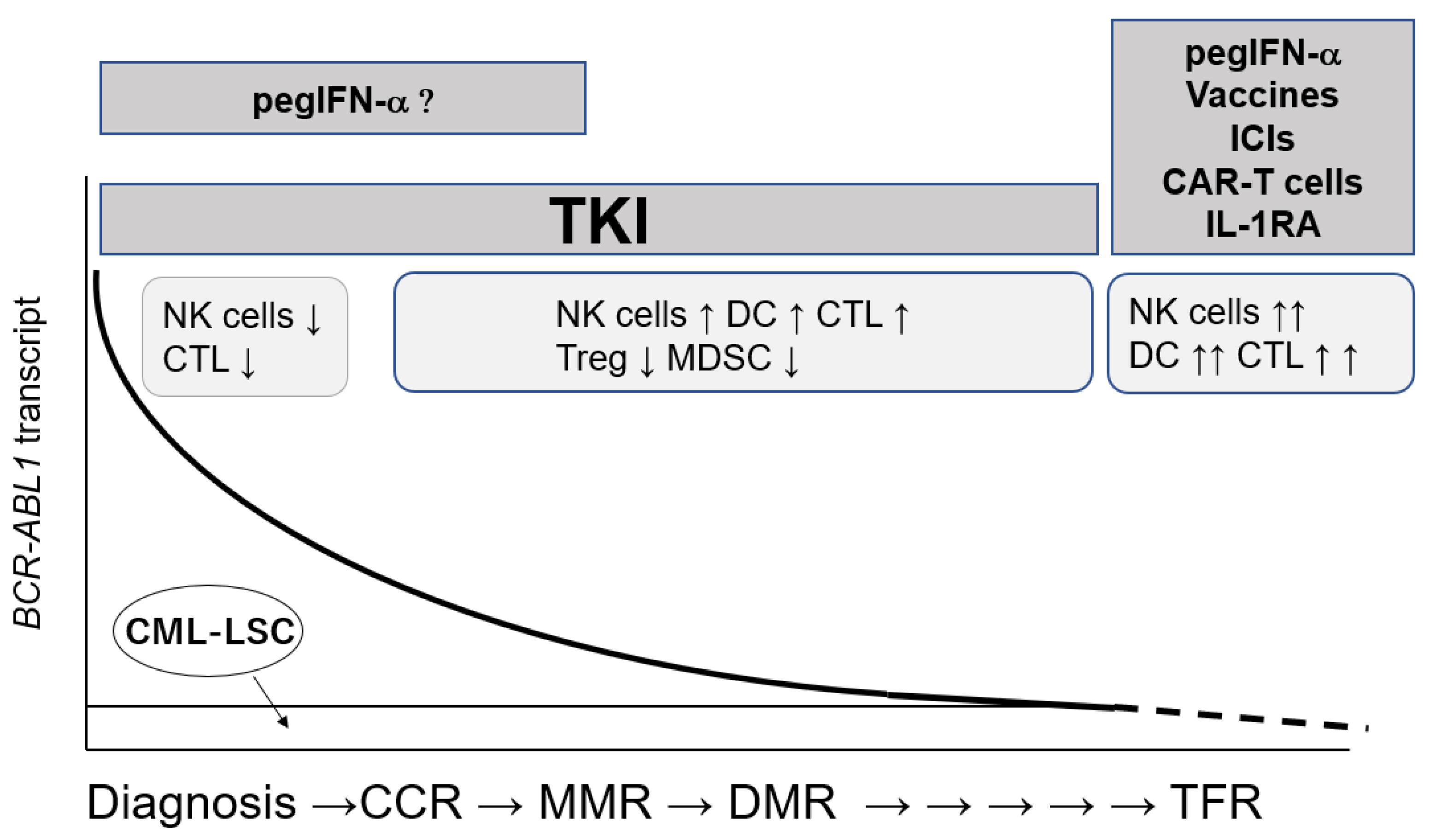 Cancers 13 05435 g003