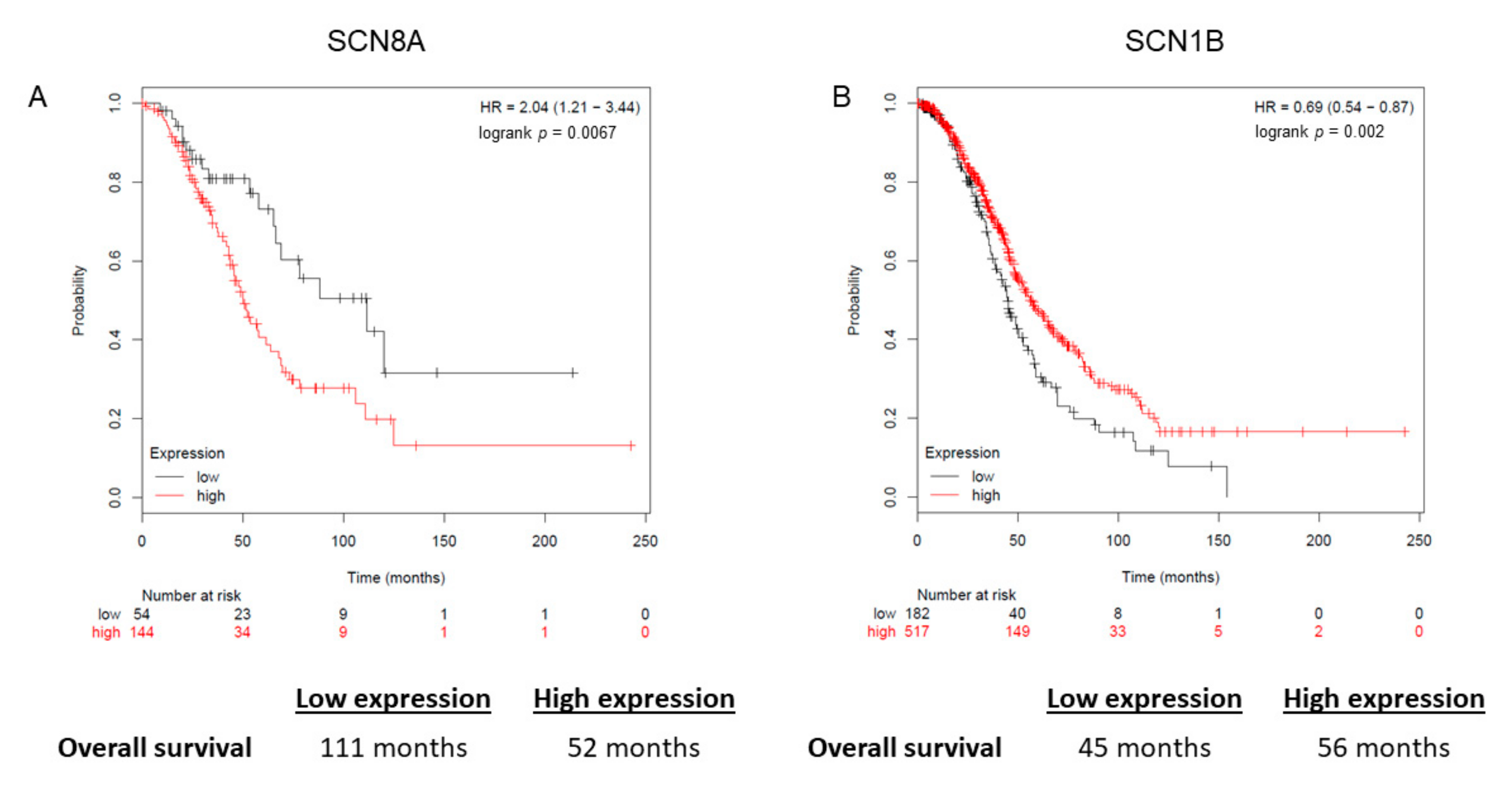 Cancers 13 05437 g002