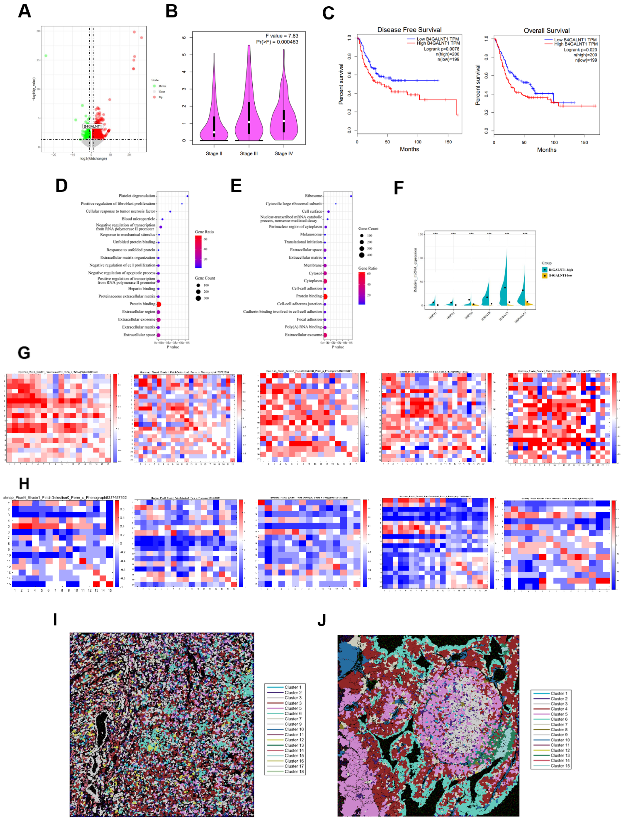 Cancers 13 05440 g004