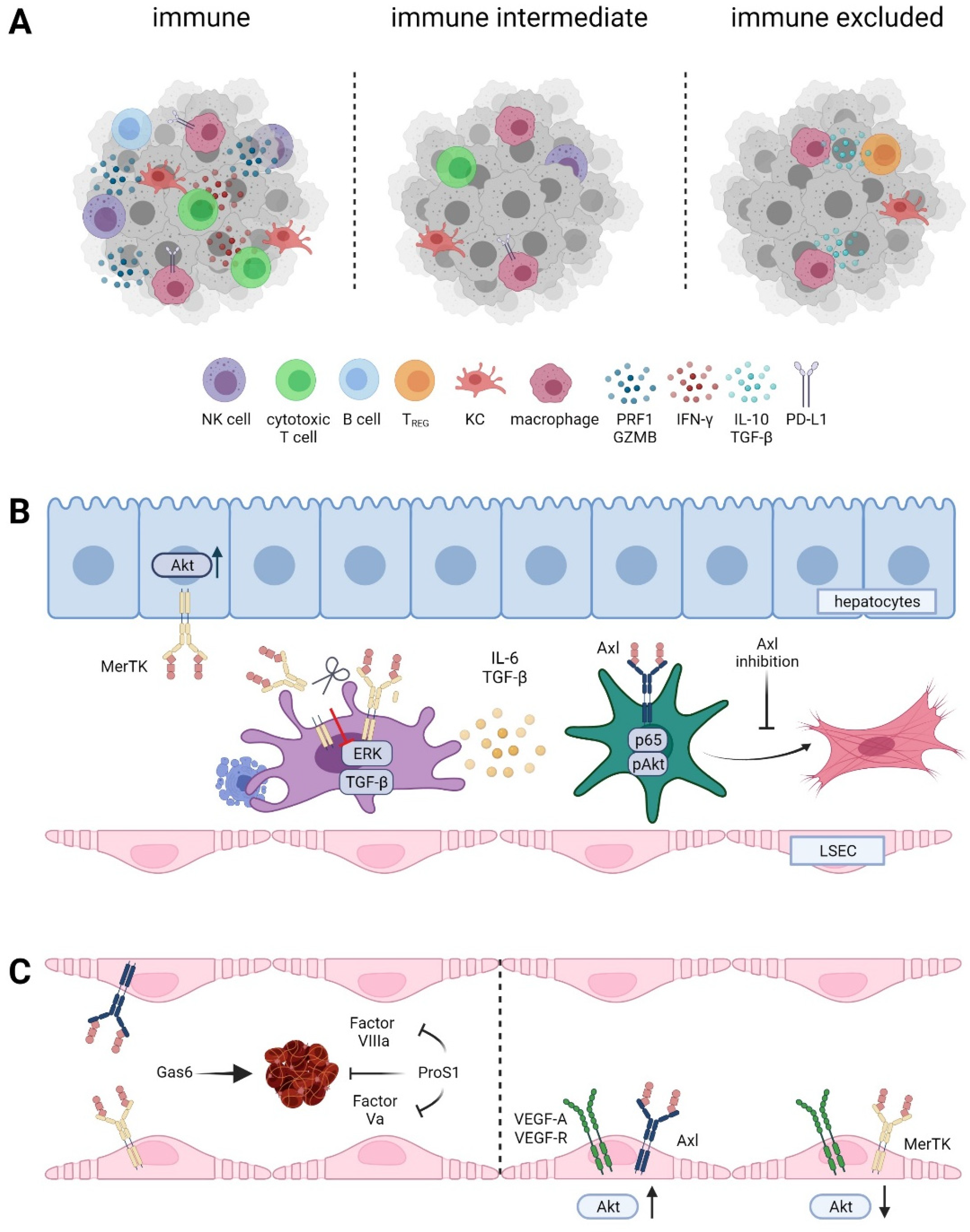 Cancers 13 05448 g004