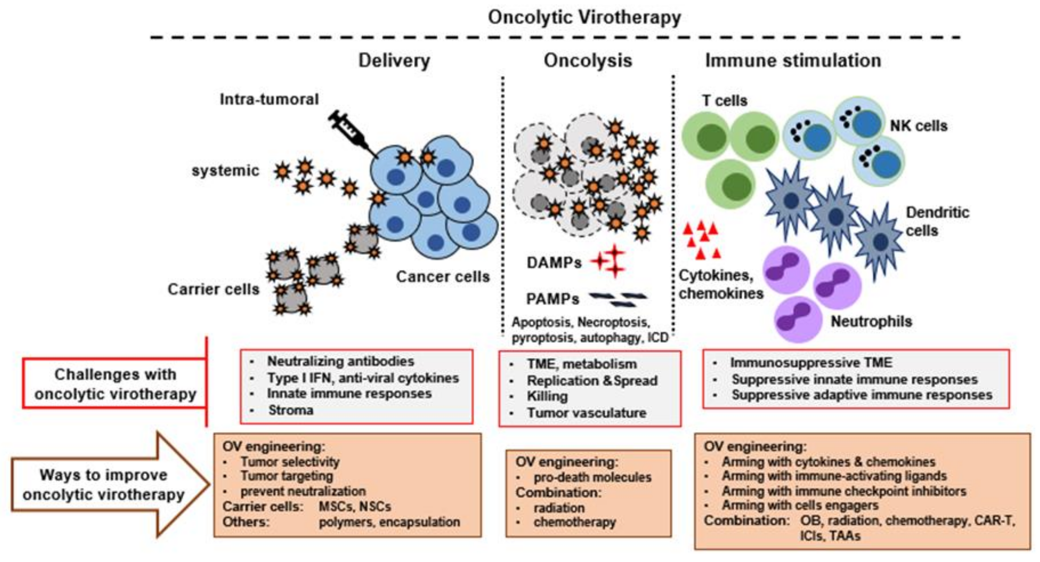 Cancers 13 05452 g001