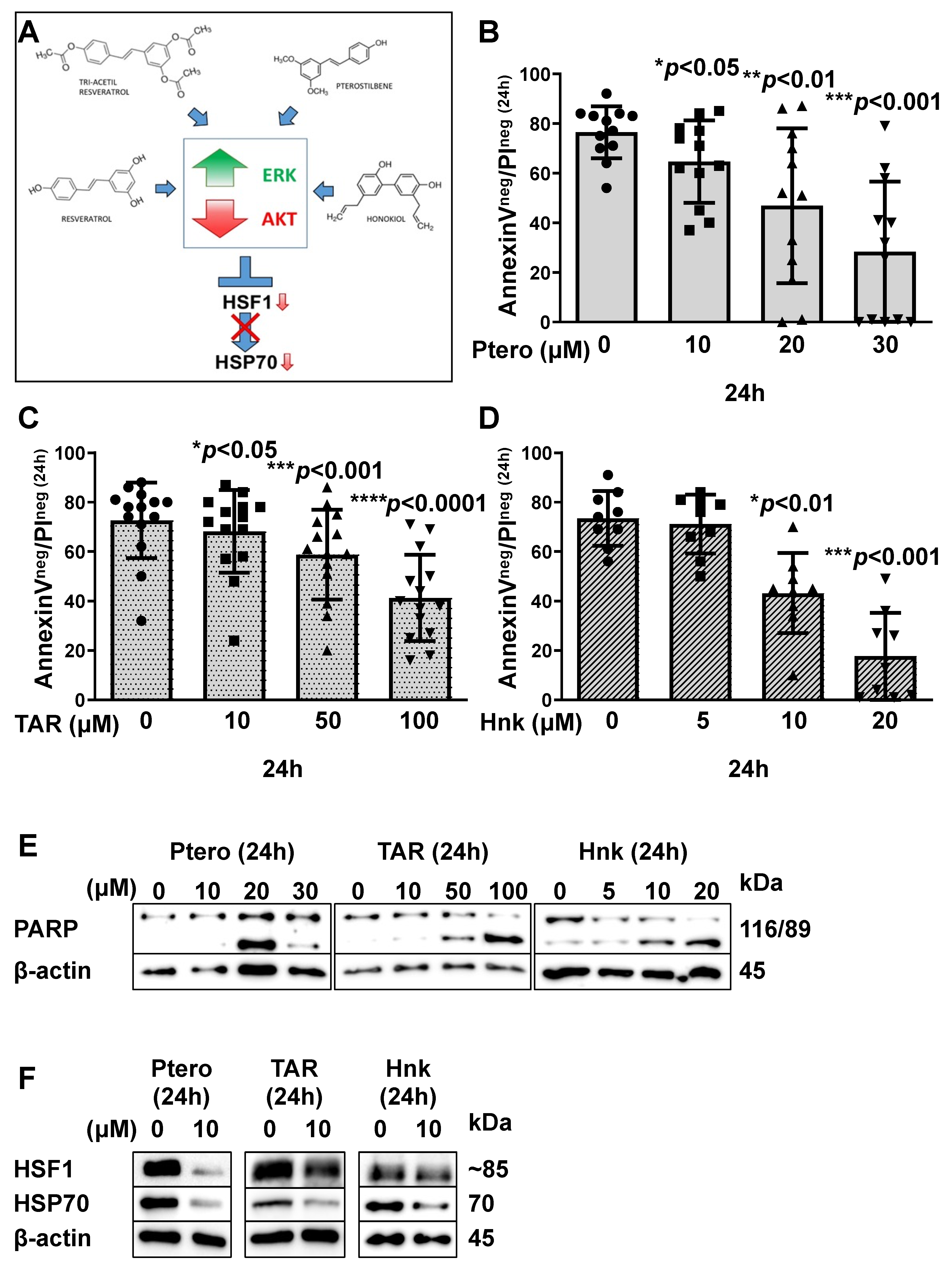 Cancers 13 05453 g002