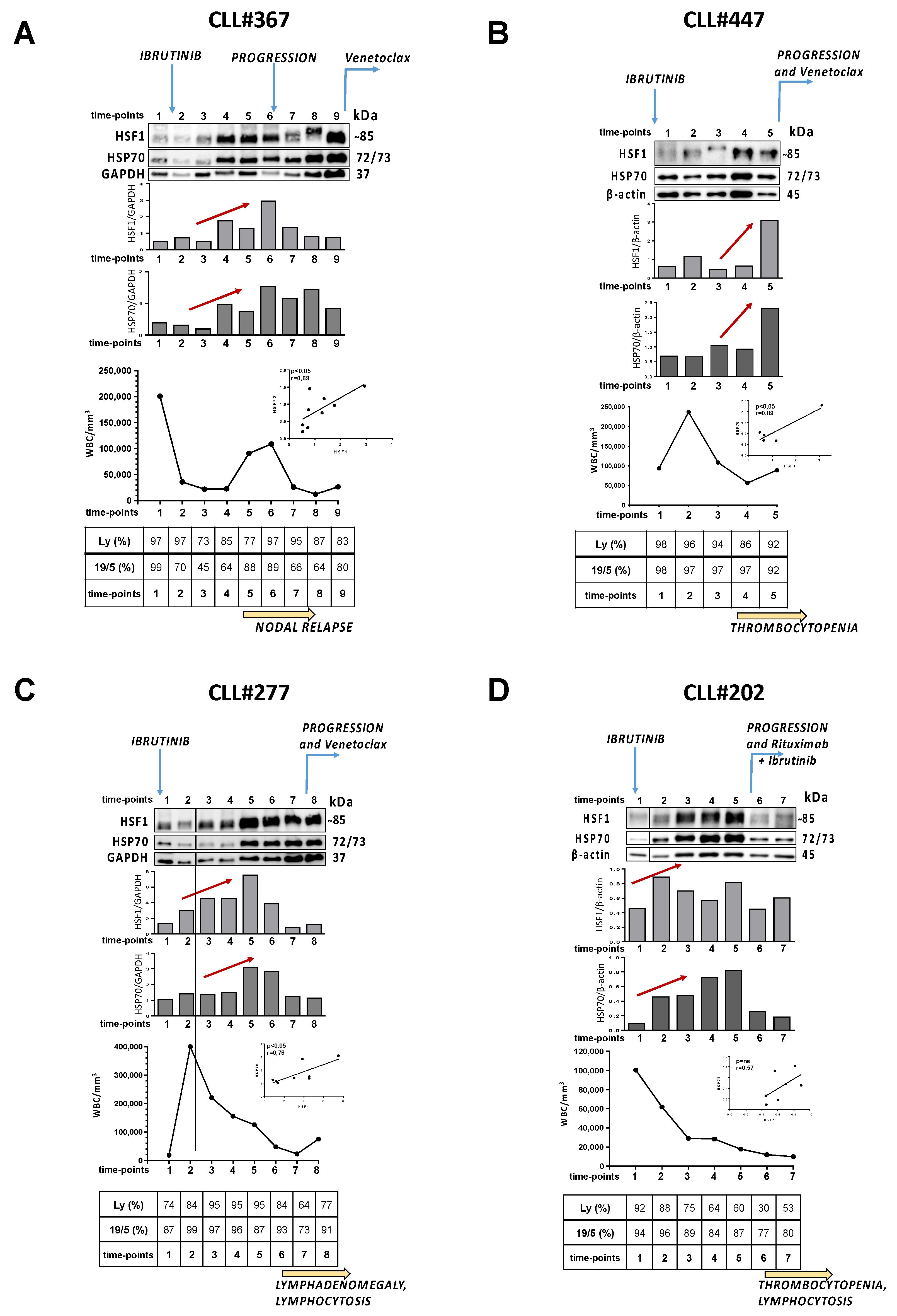 Cancers 13 05453 g003