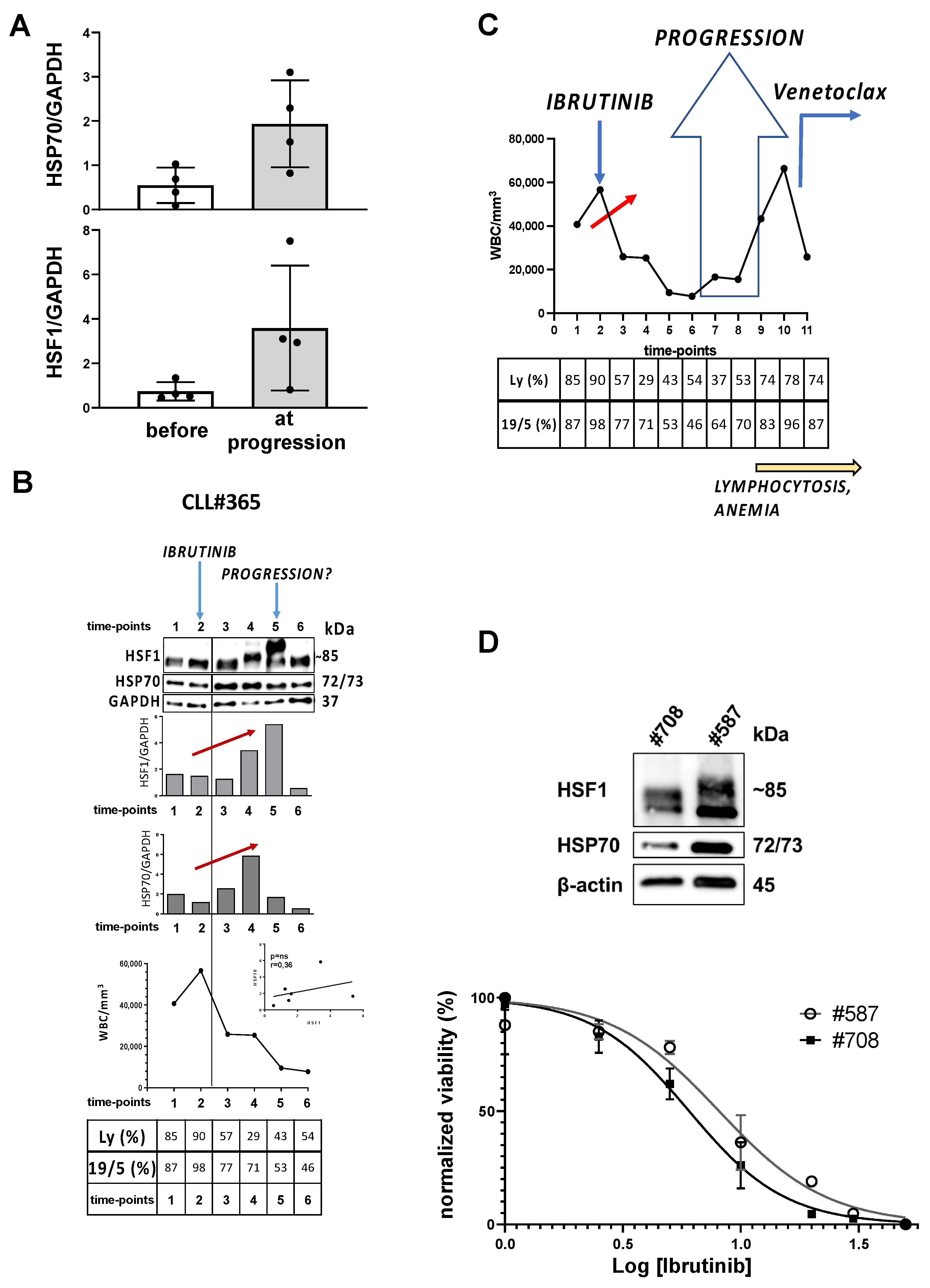 Cancers 13 05453 g004
