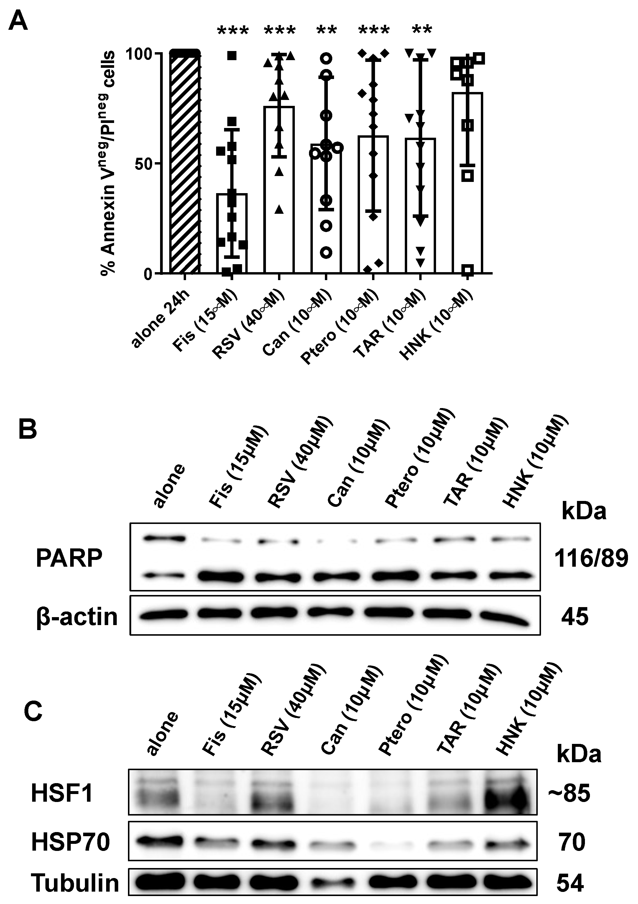 Cancers 13 05453 g005
