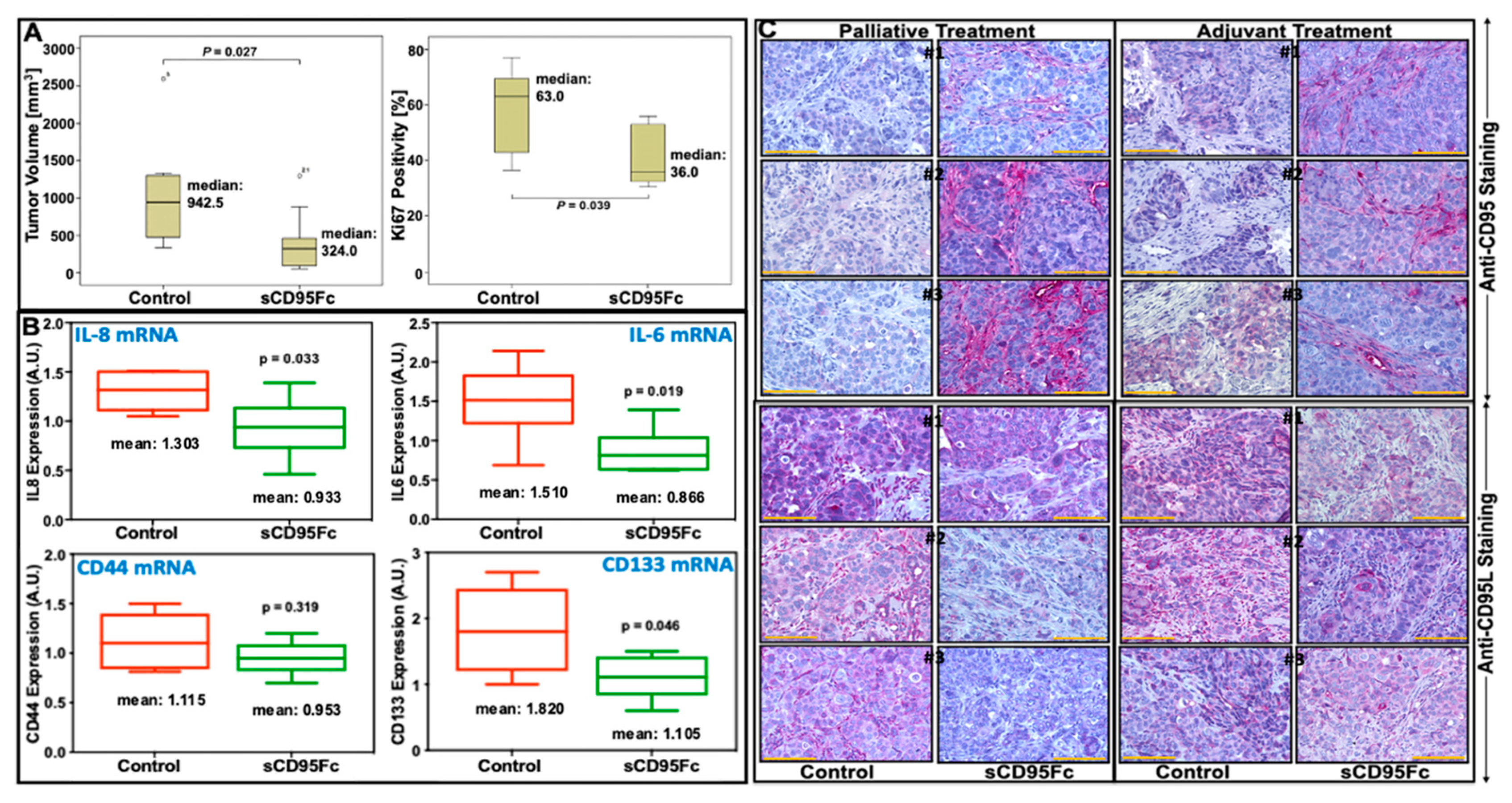 Cancers 13 05458 g008