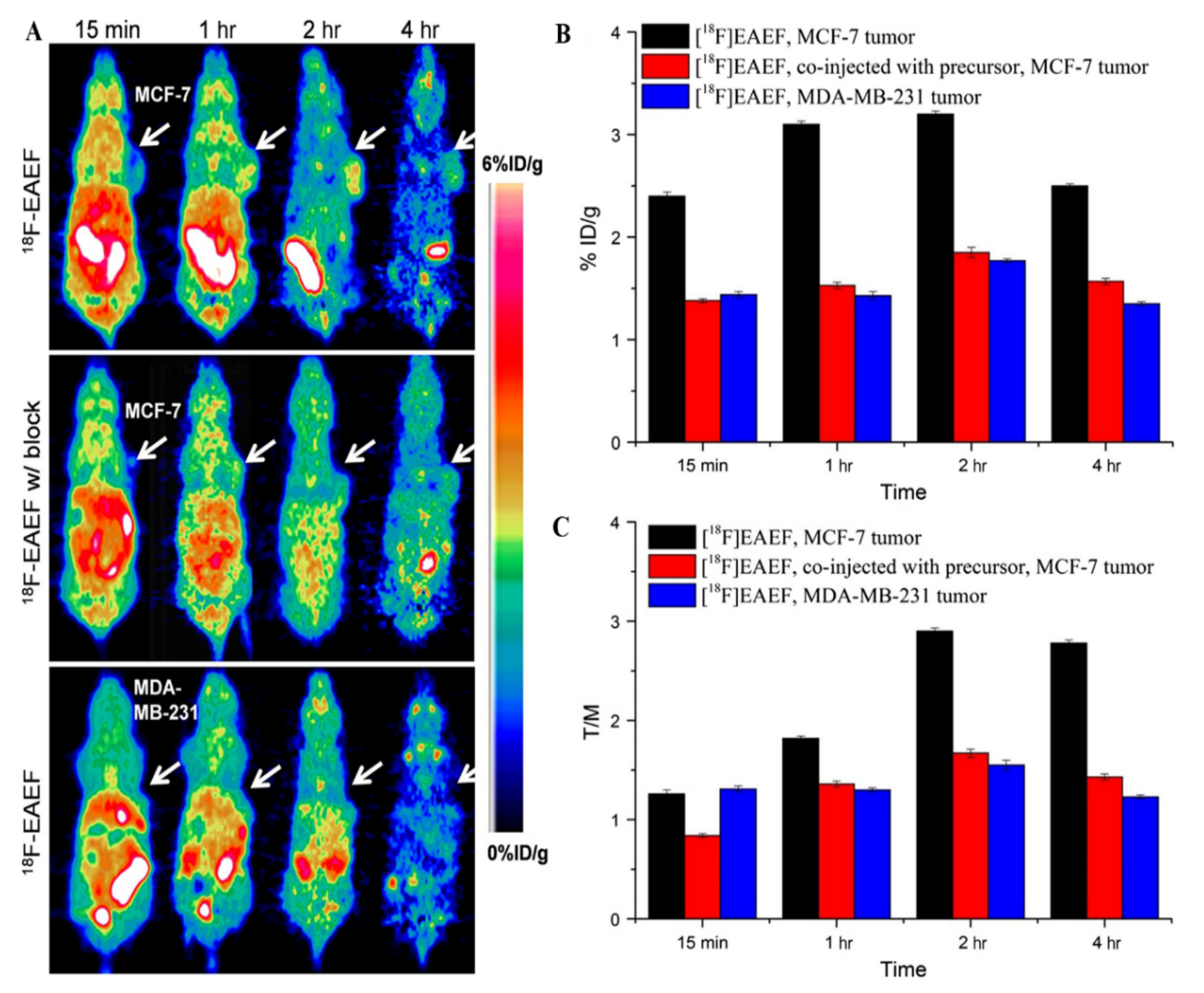 Cancers 13 05459 g006