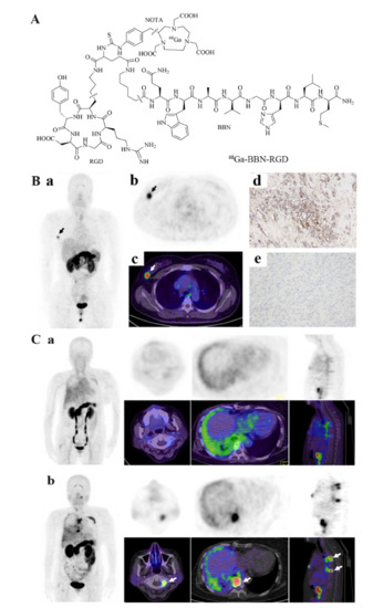 Cancers 13 05459 g009