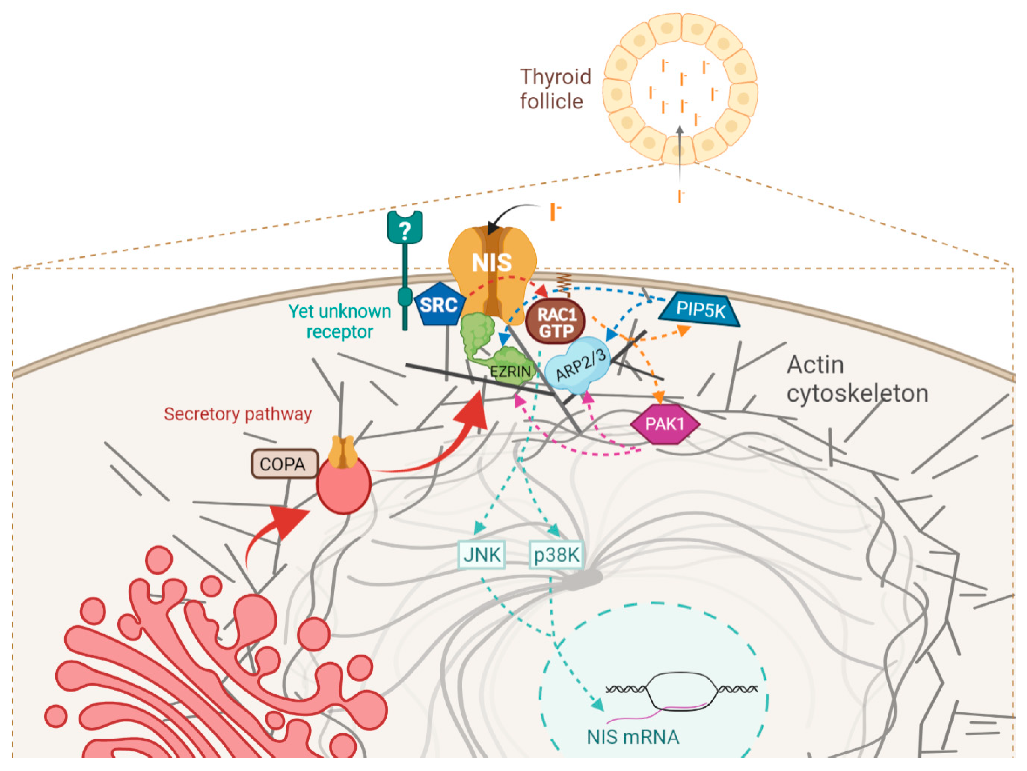 Cancers 13 05460 g010