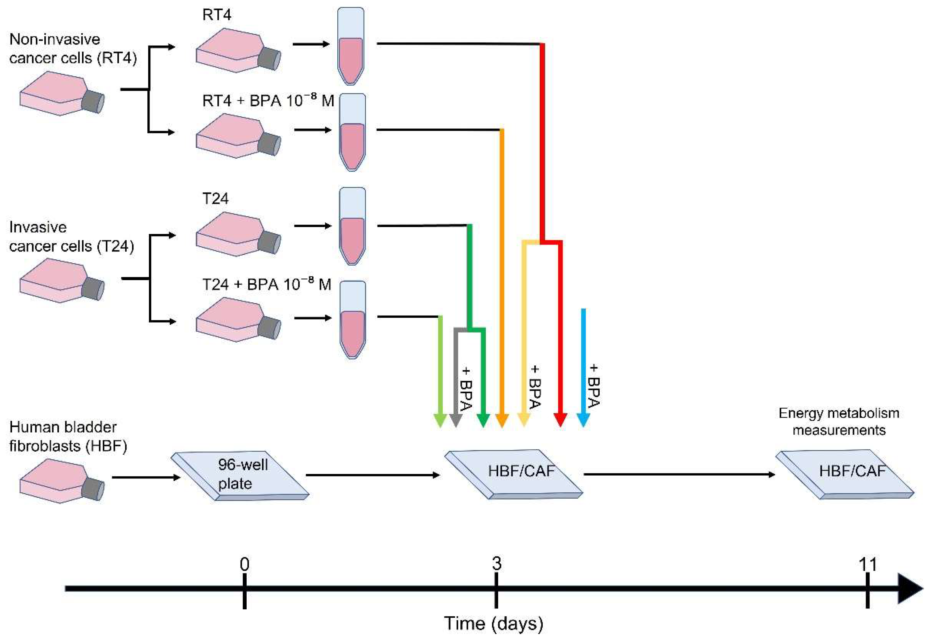 Cancers 13 05461 g001