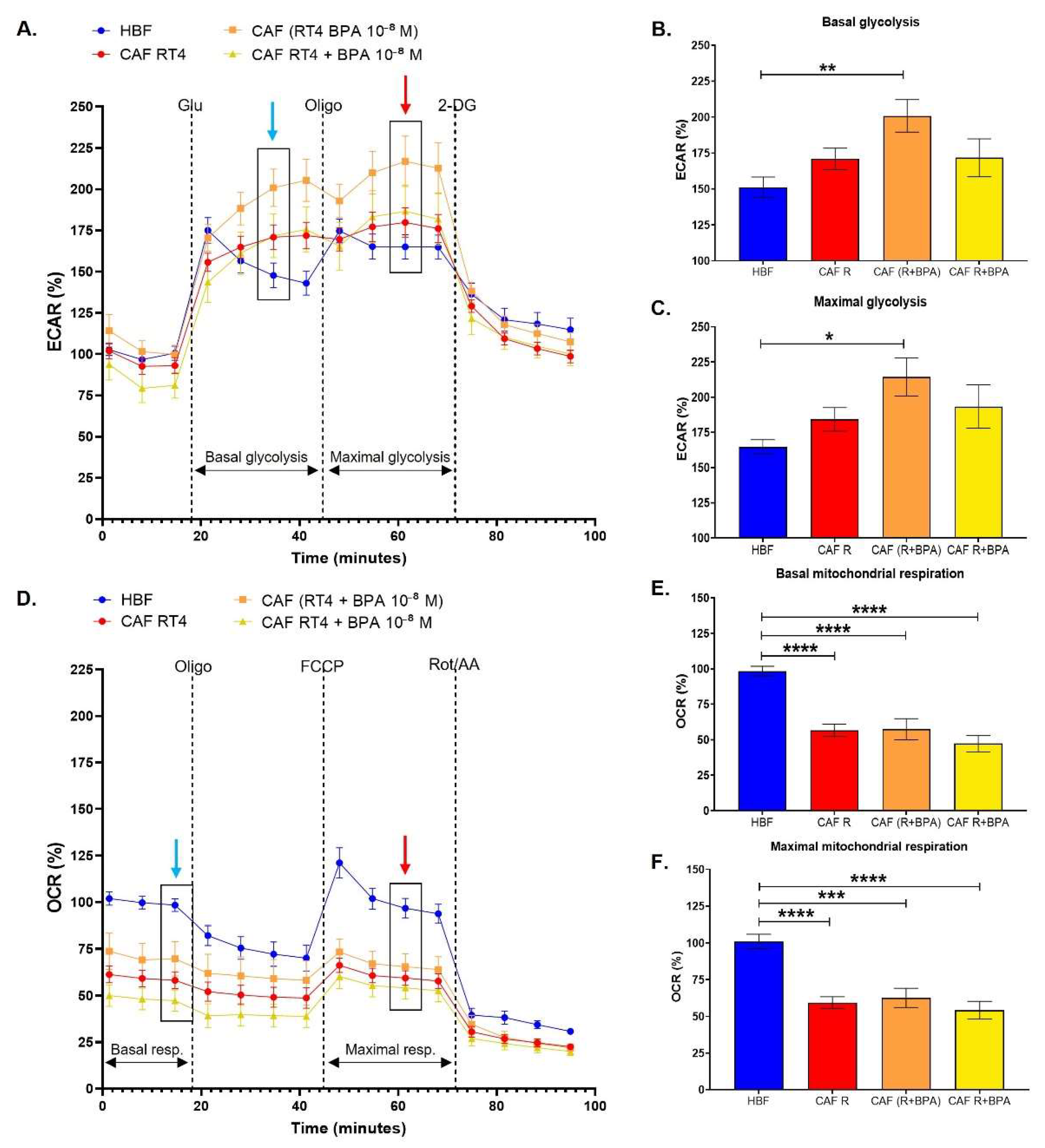 Cancers 13 05461 g003