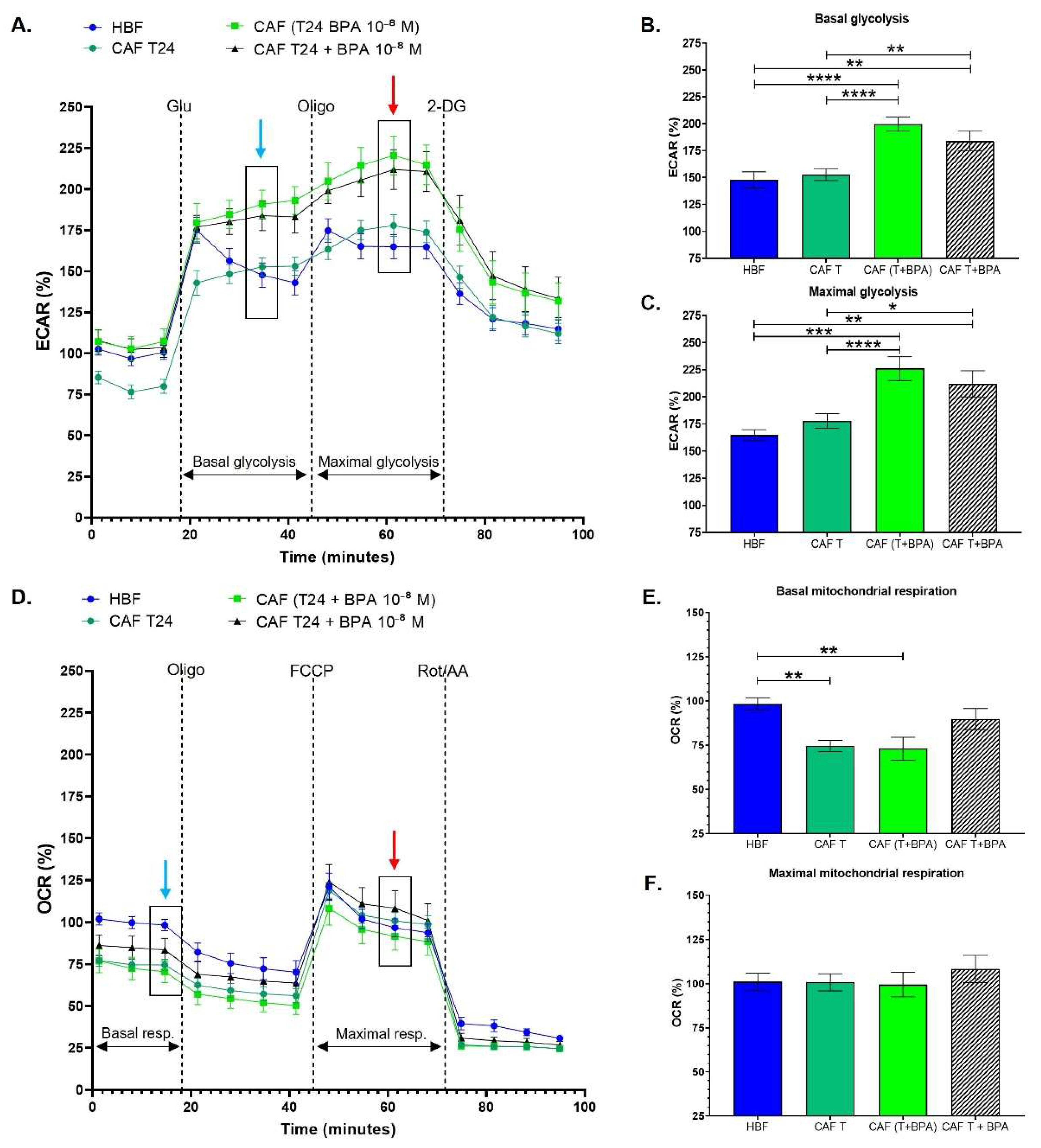 Cancers 13 05461 g004