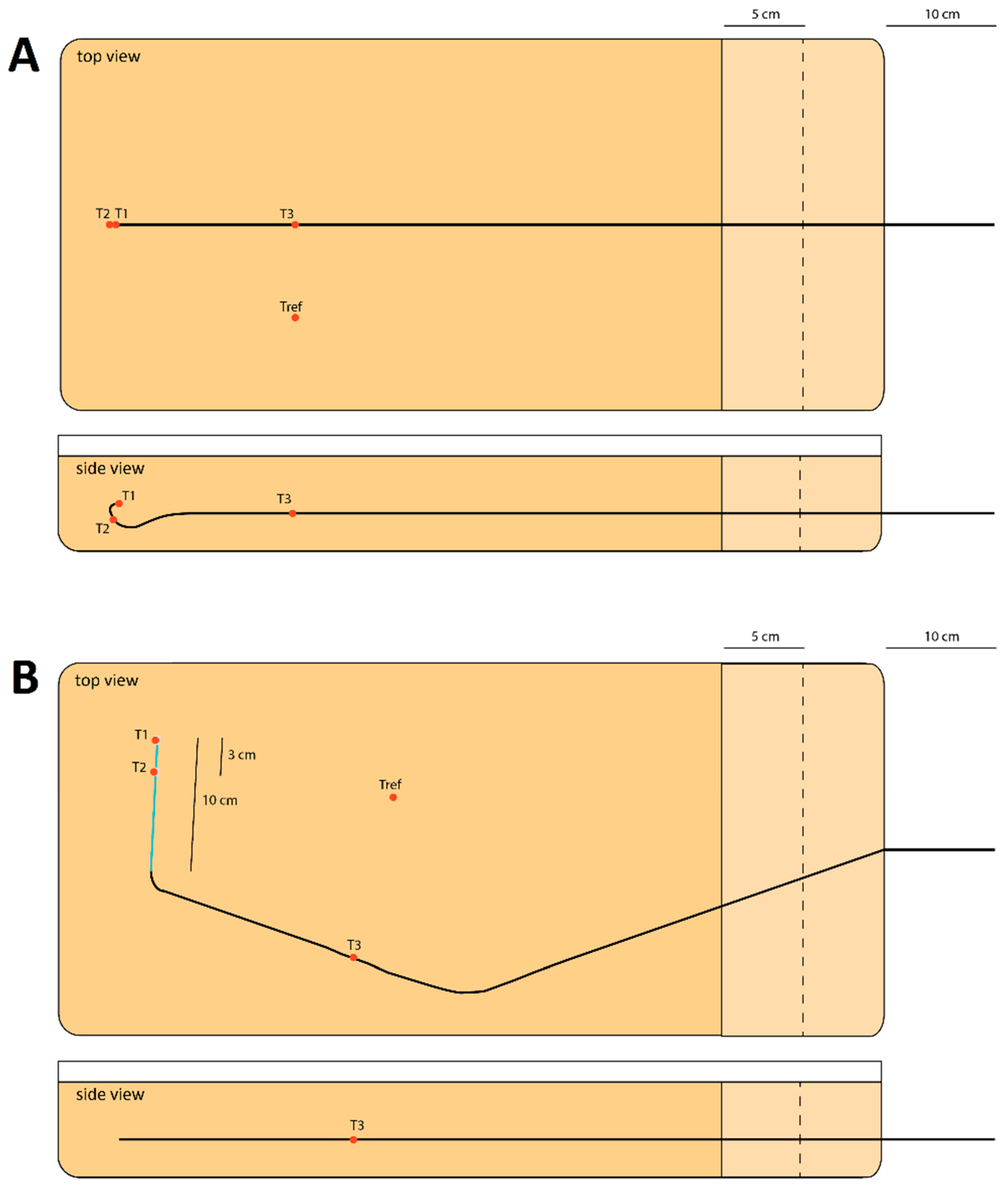 Cancers 13 05462 g001