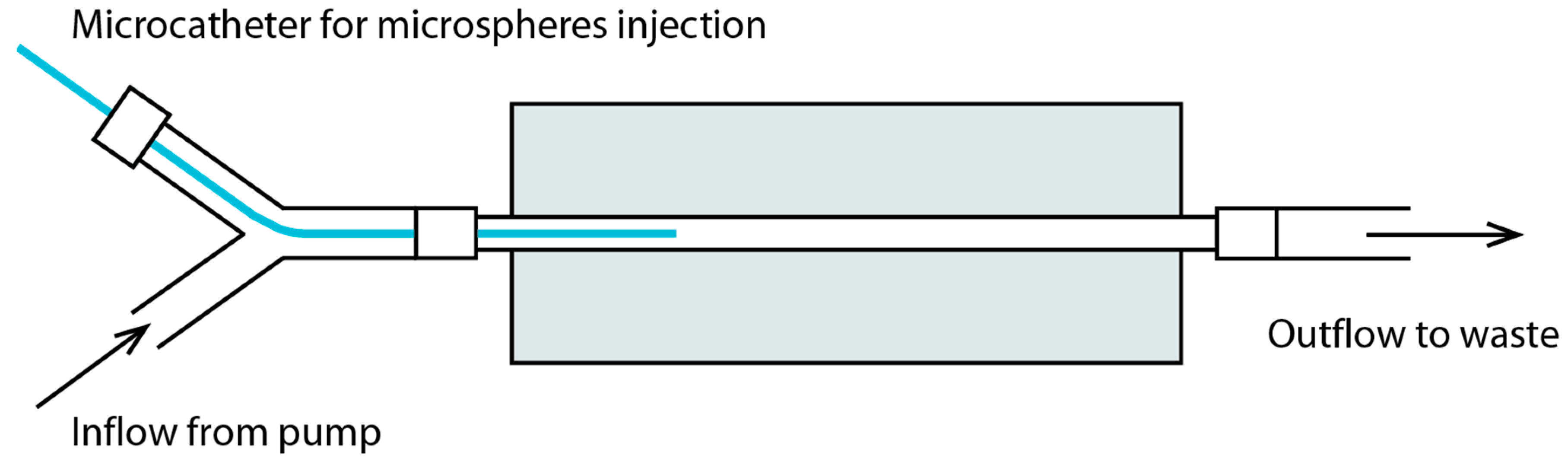 Cancers 13 05462 g002