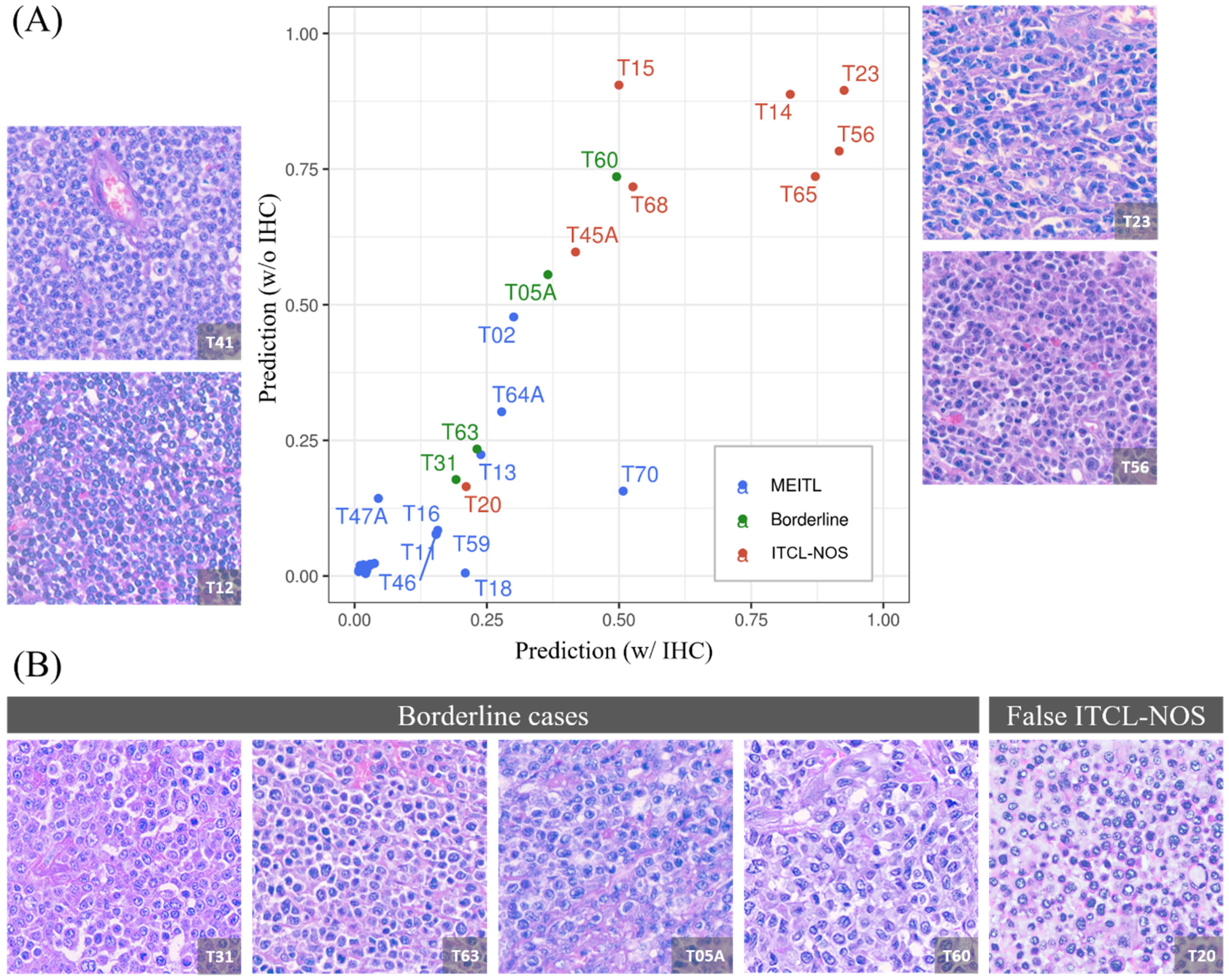 Cancers 13 05463 g003