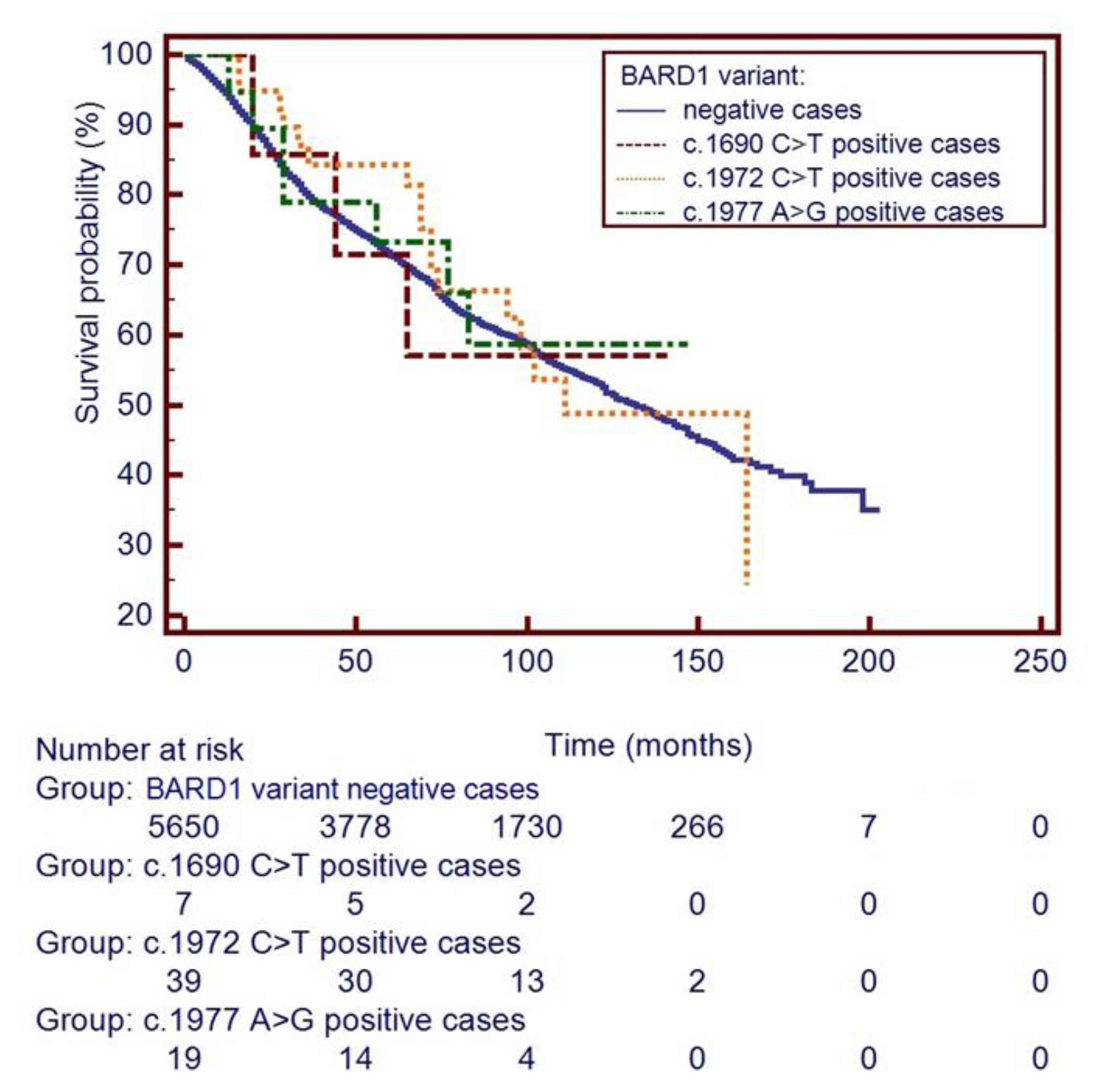 Cancers 13 05464 g001