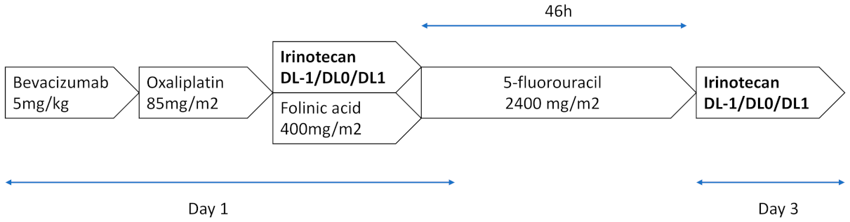 Cancers 13 05472 g001