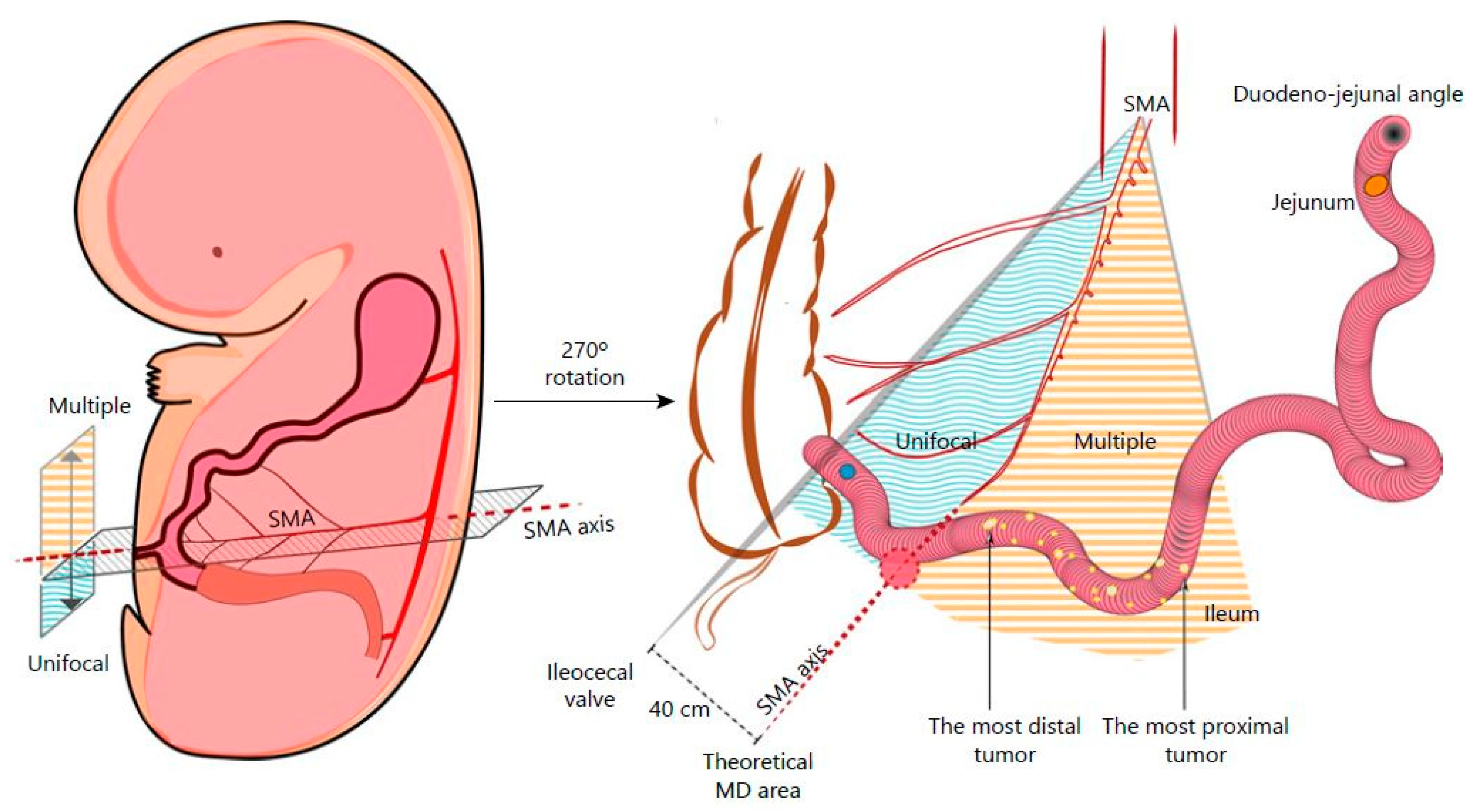 Cancers 13 05473 g001