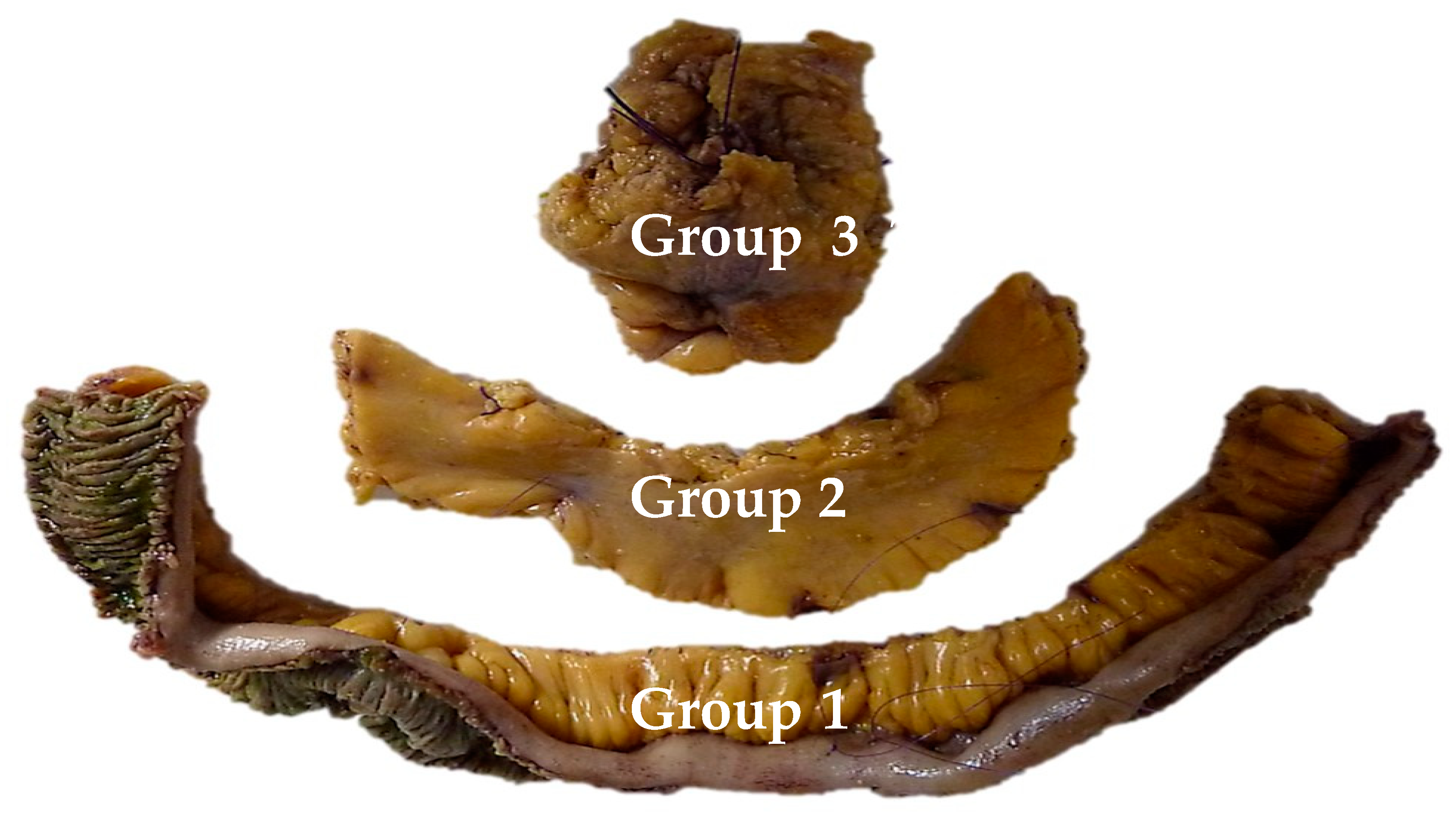 Cancers 13 05473 g003