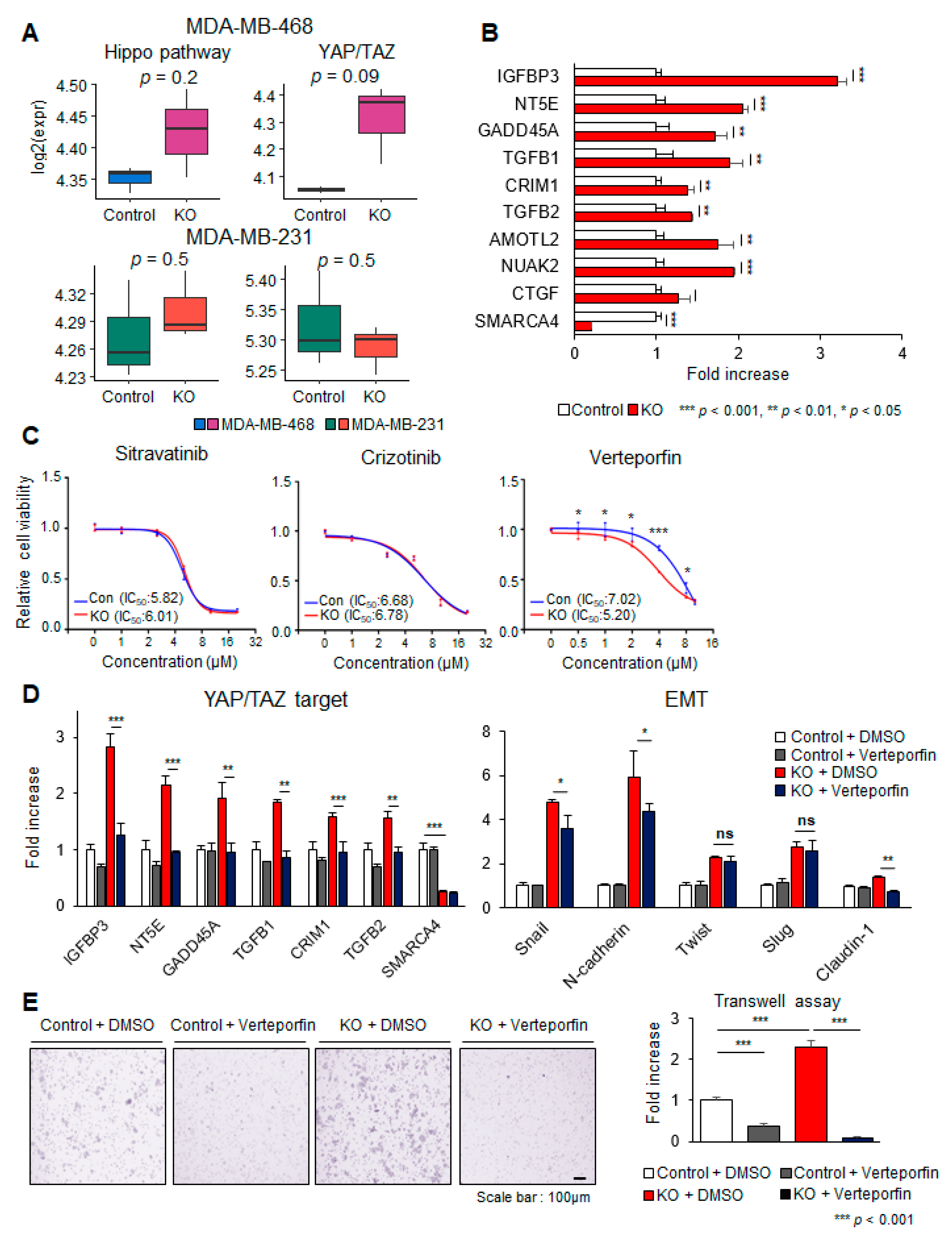 Cancers 13 05474 g005