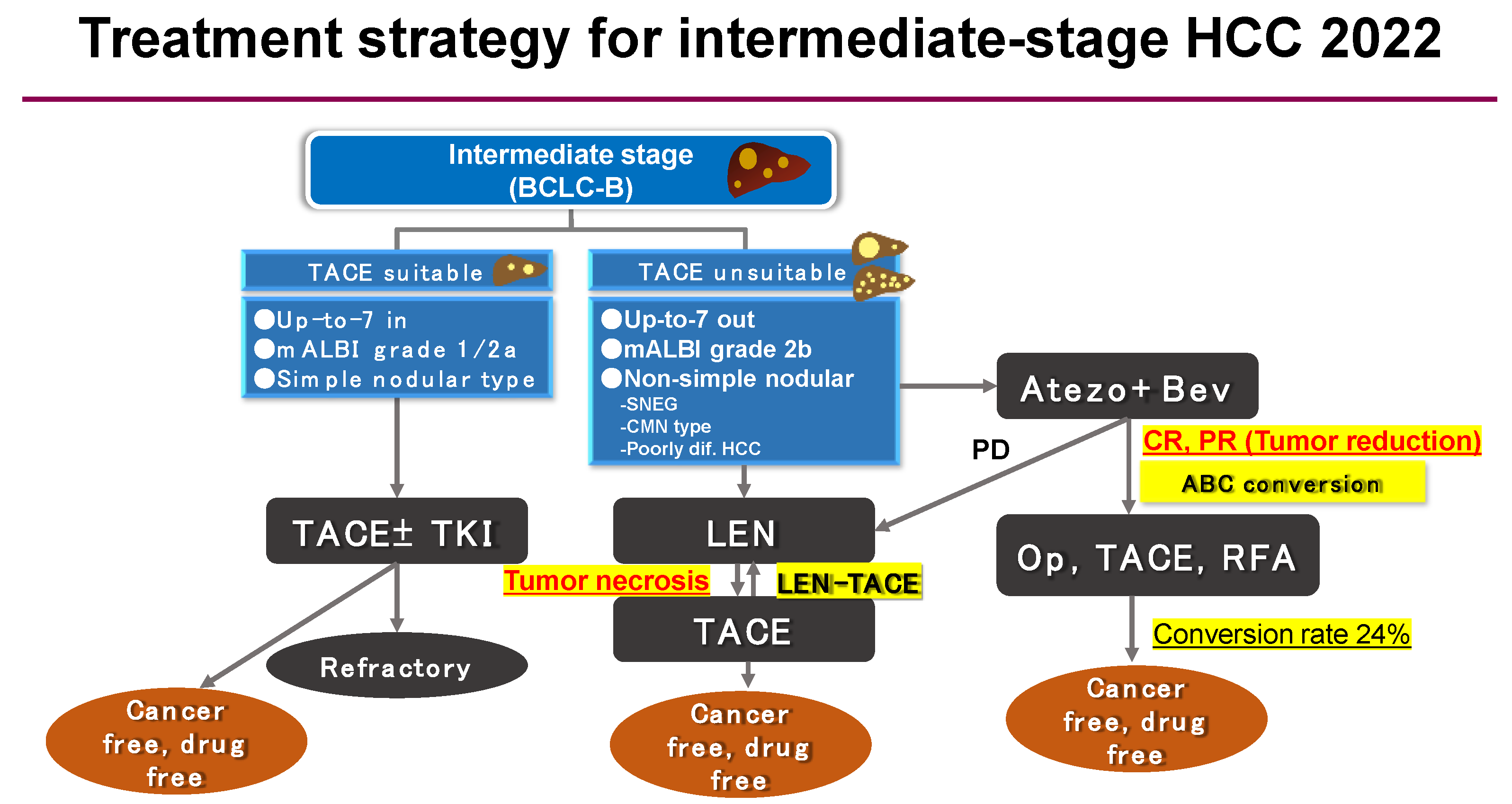 Cancers 13 05475 g005