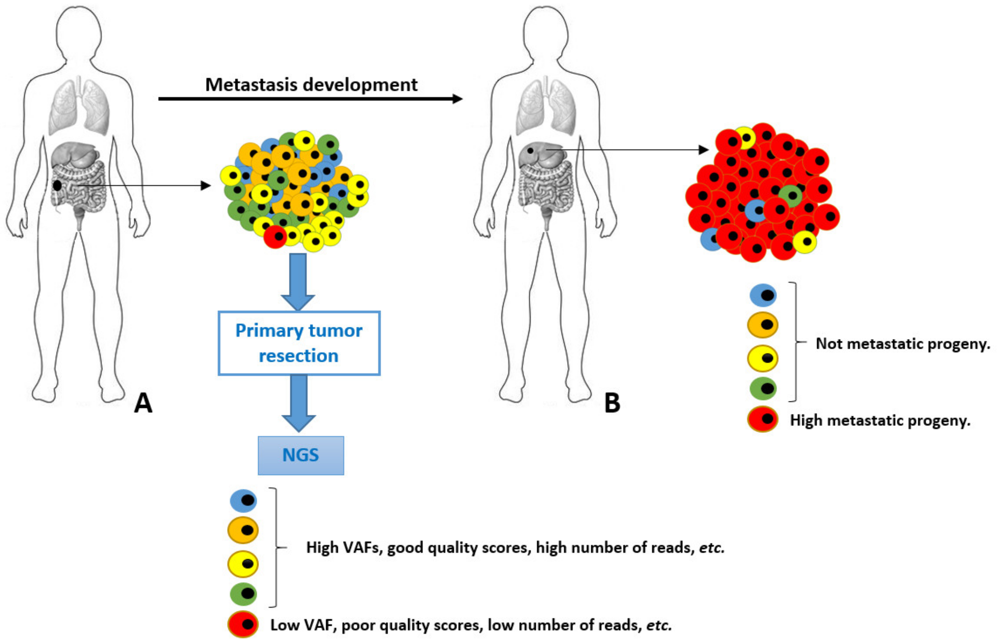 Cancers 13 05476 g001