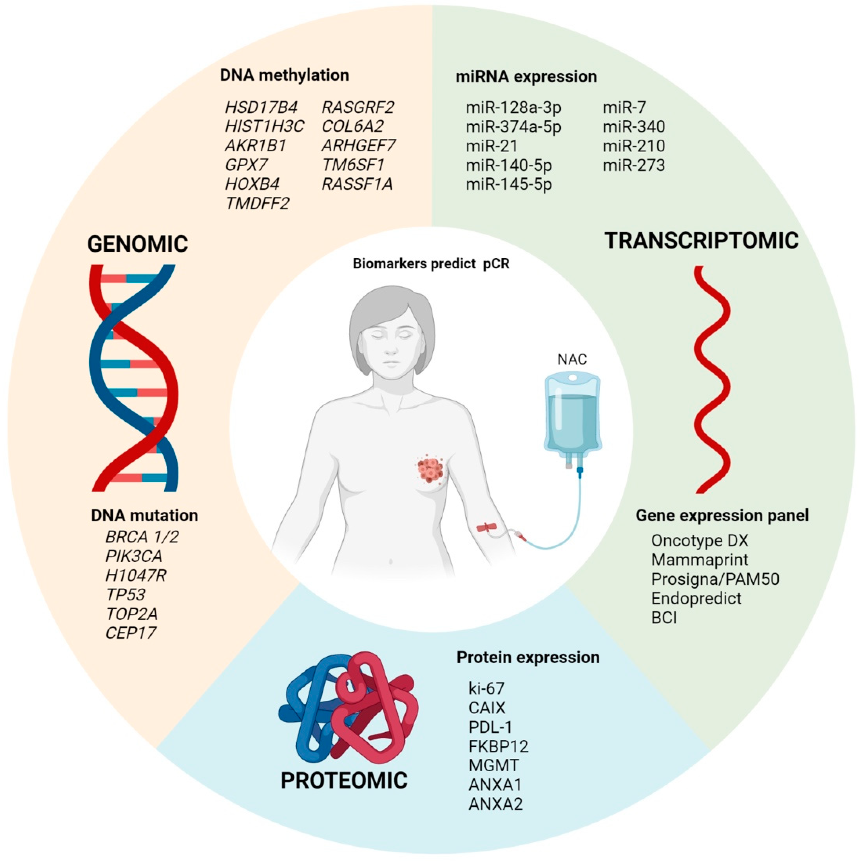 Cancers 13 05477 g002