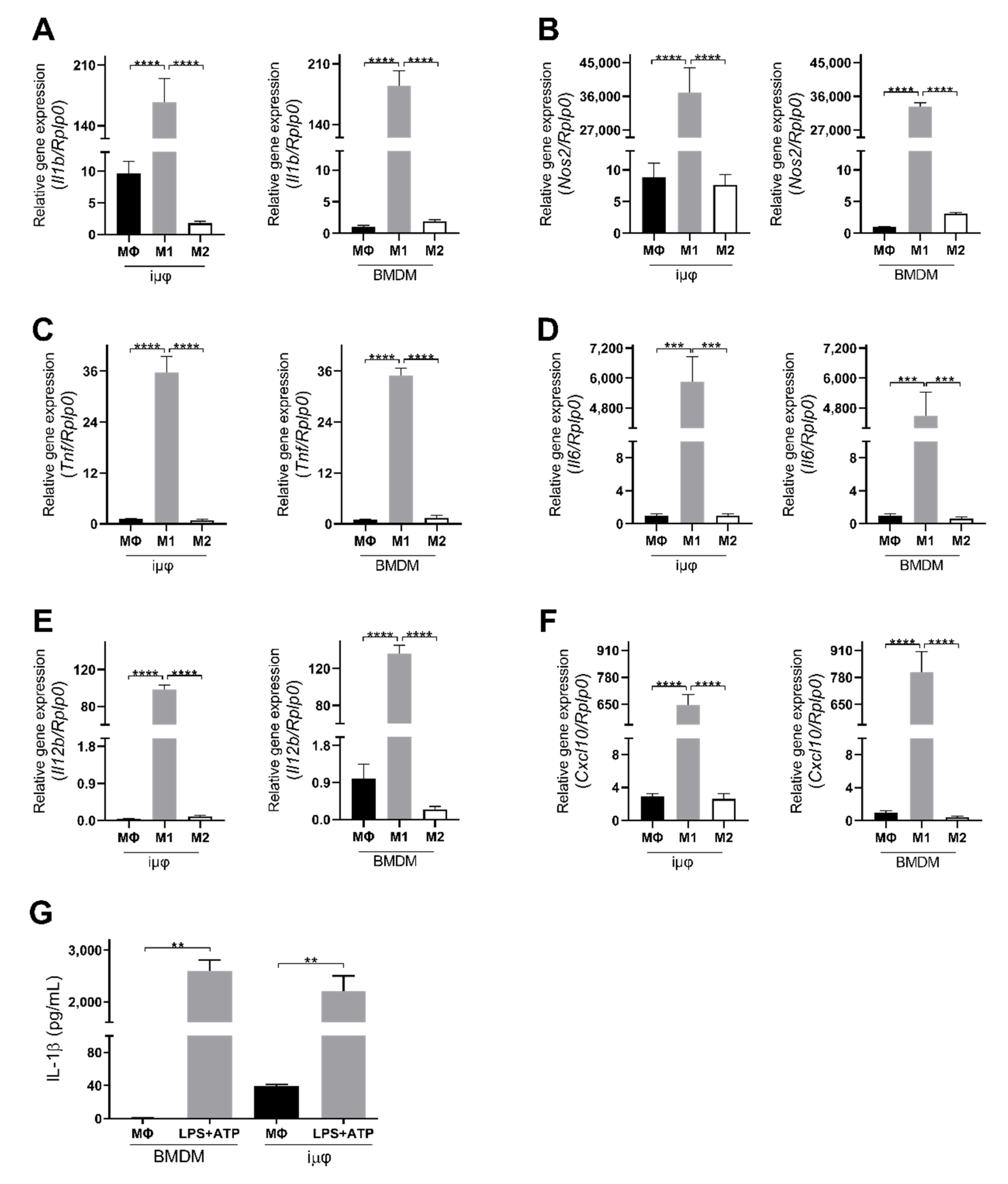 Cancers 13 05478 g001