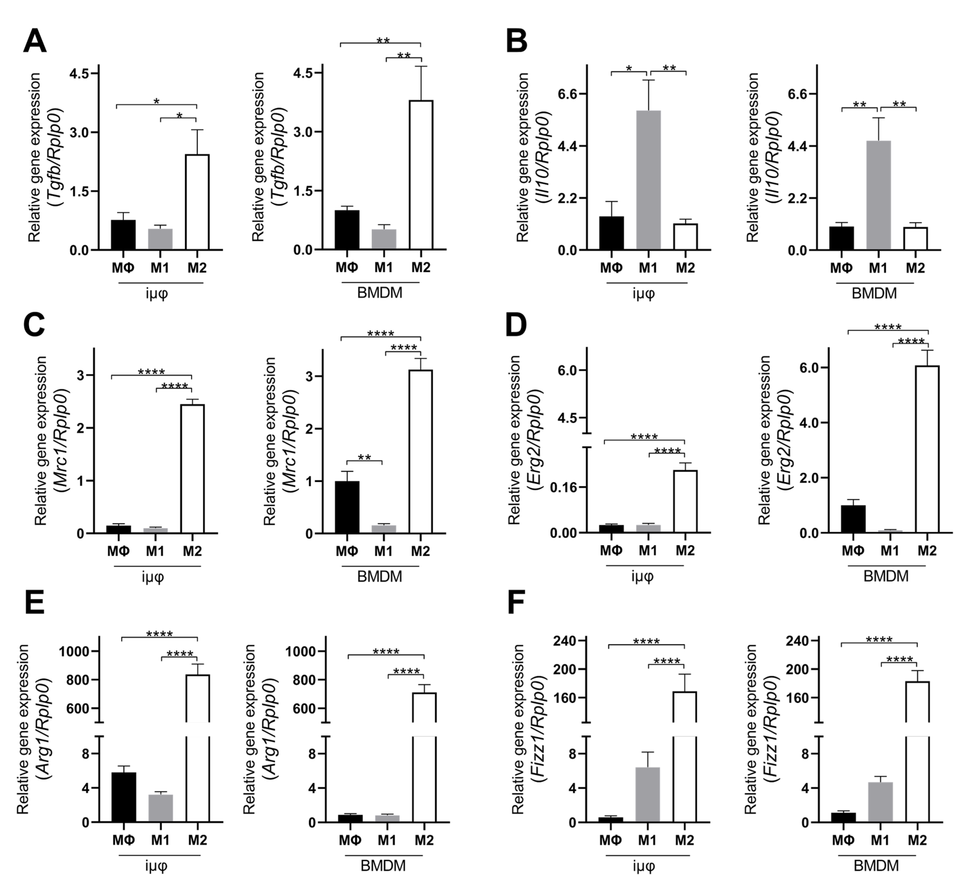 Cancers 13 05478 g002