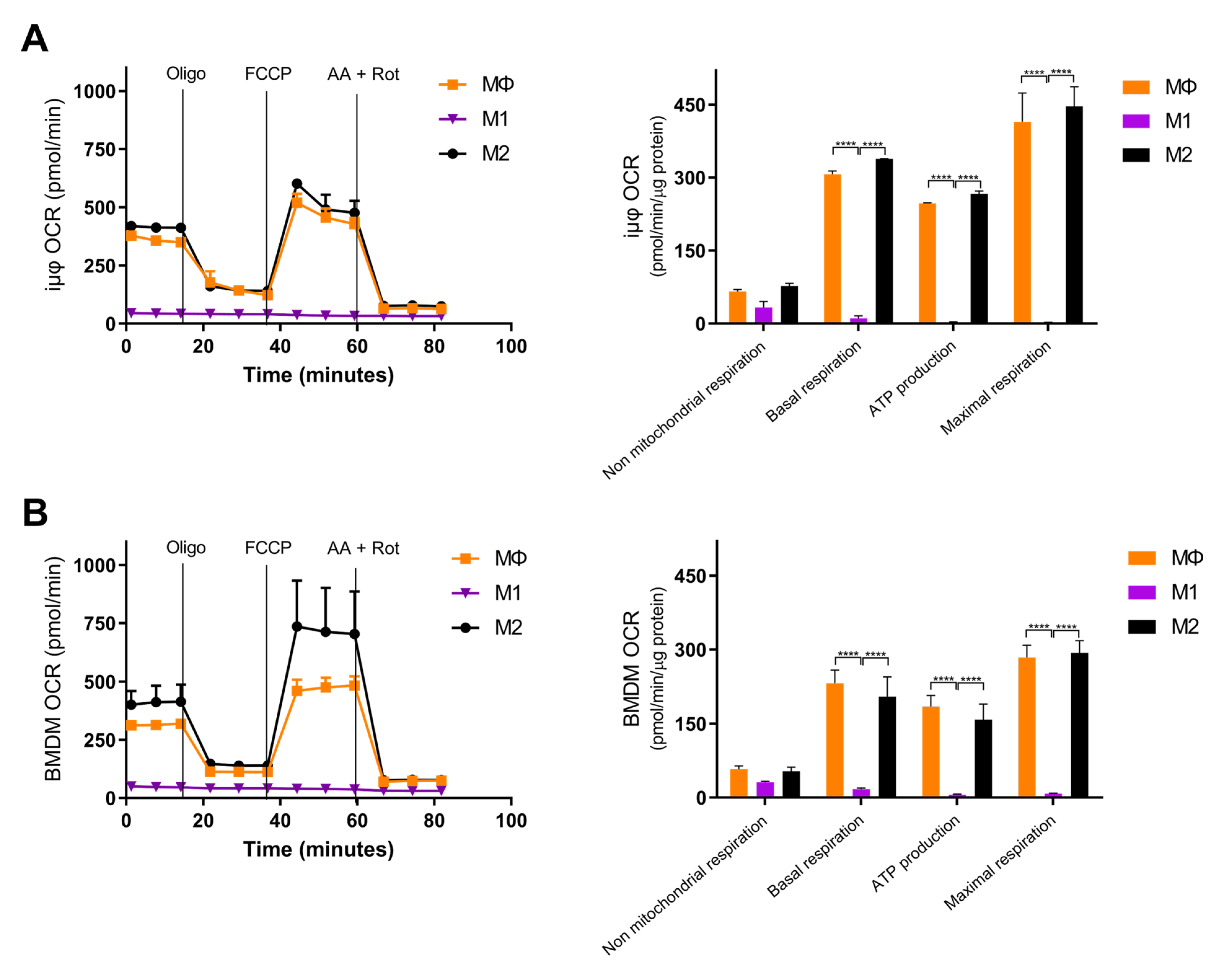 Cancers 13 05478 g004