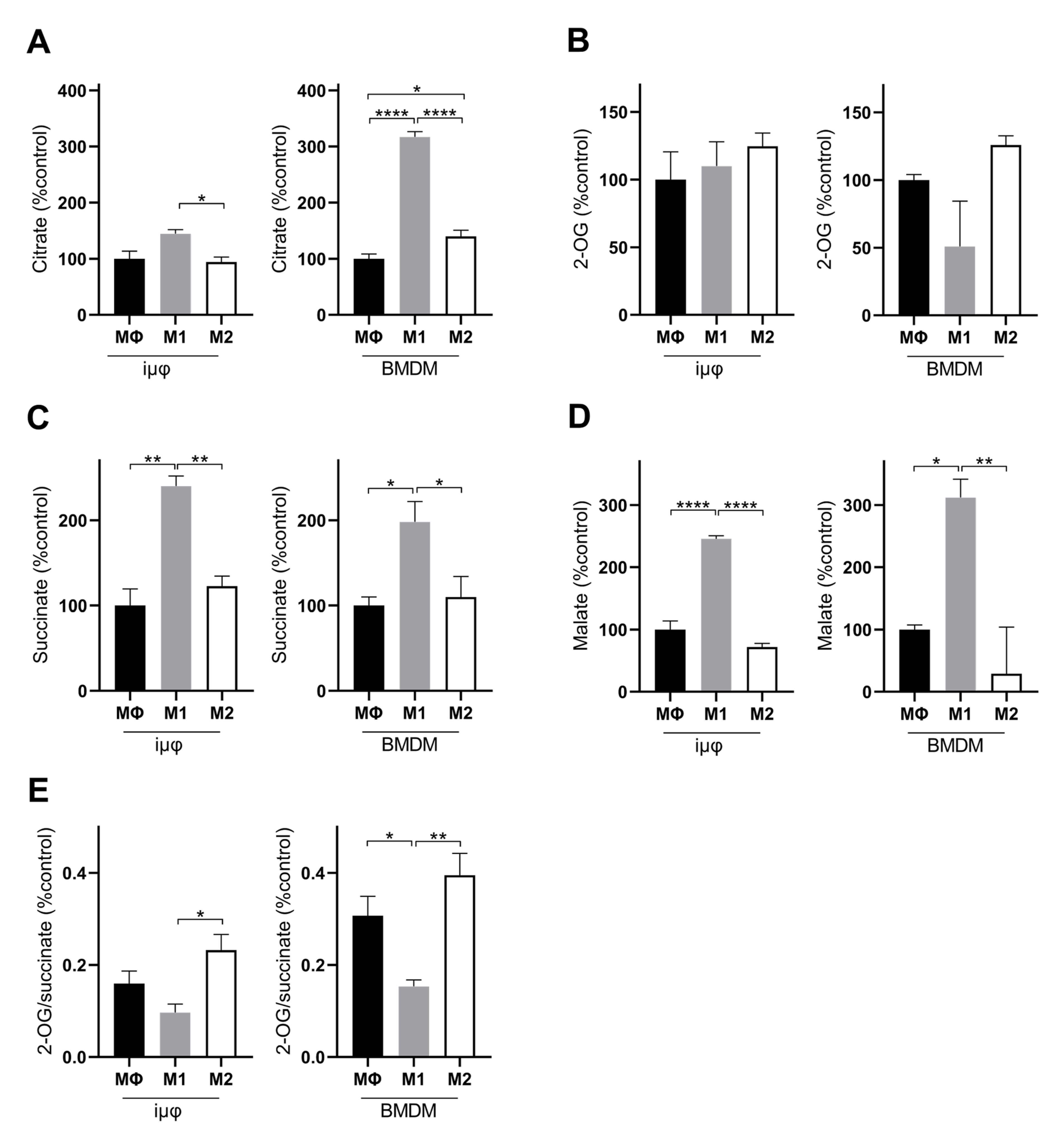 Cancers 13 05478 g005