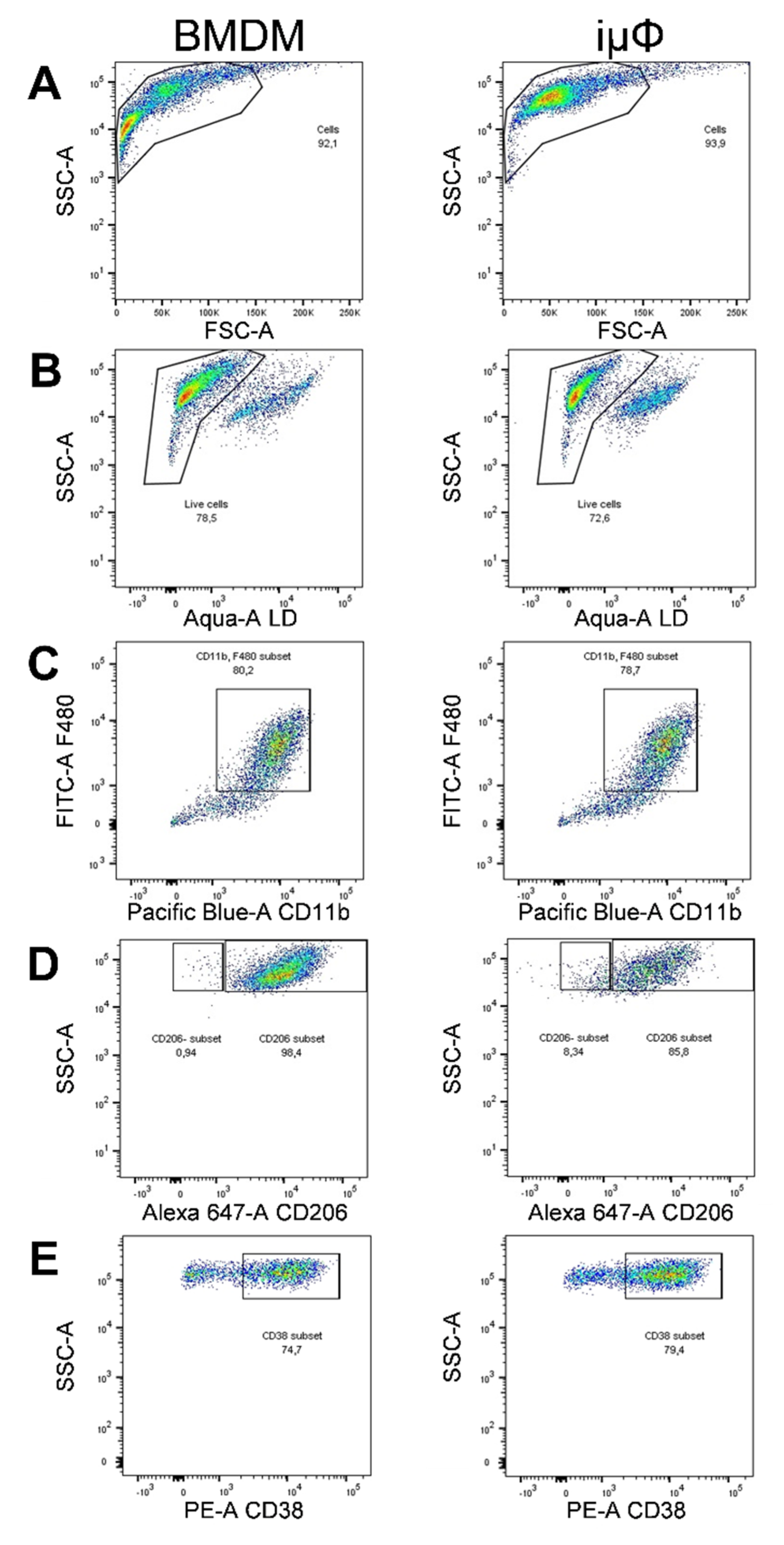 Cancers 13 05478 g0a1