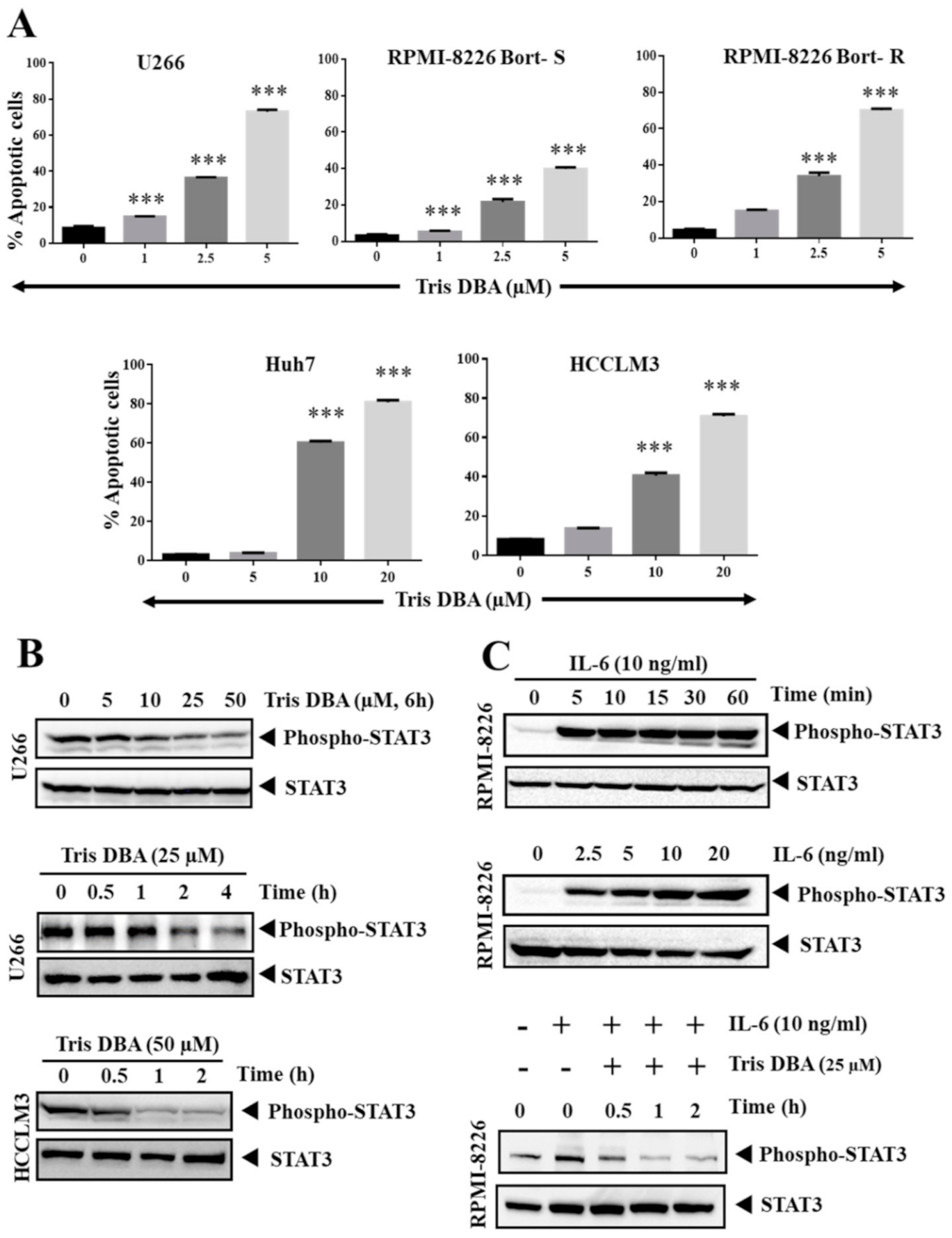 Cancers 13 05479 g002