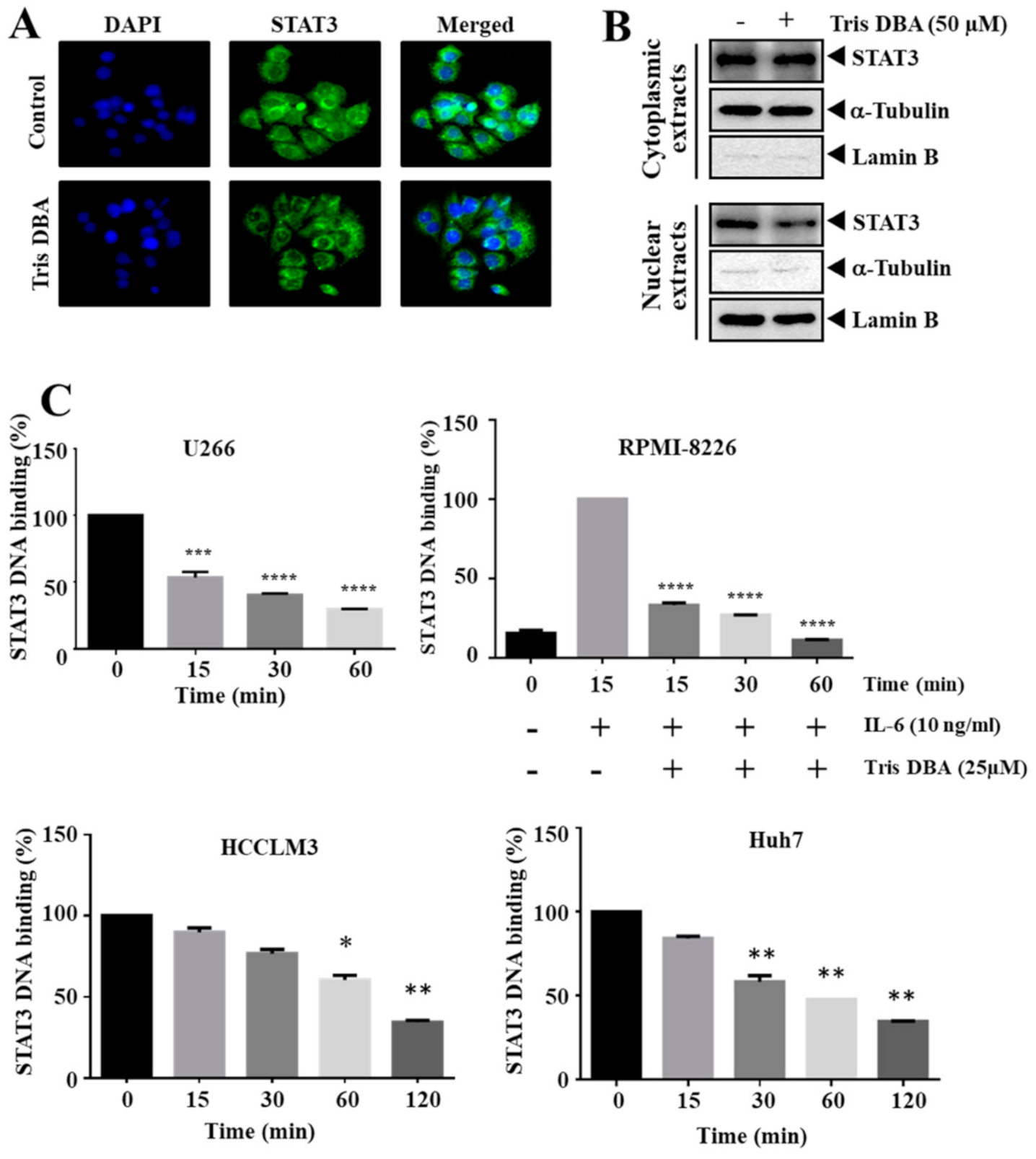 Cancers 13 05479 g003