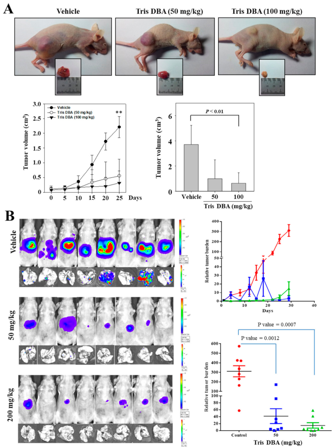 Cancers 13 05479 g007